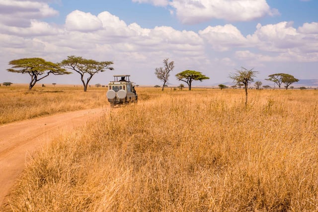 Safari Tourists On Game Drive With Car In Serengeti National Park In Beautiful Landscape Scenery