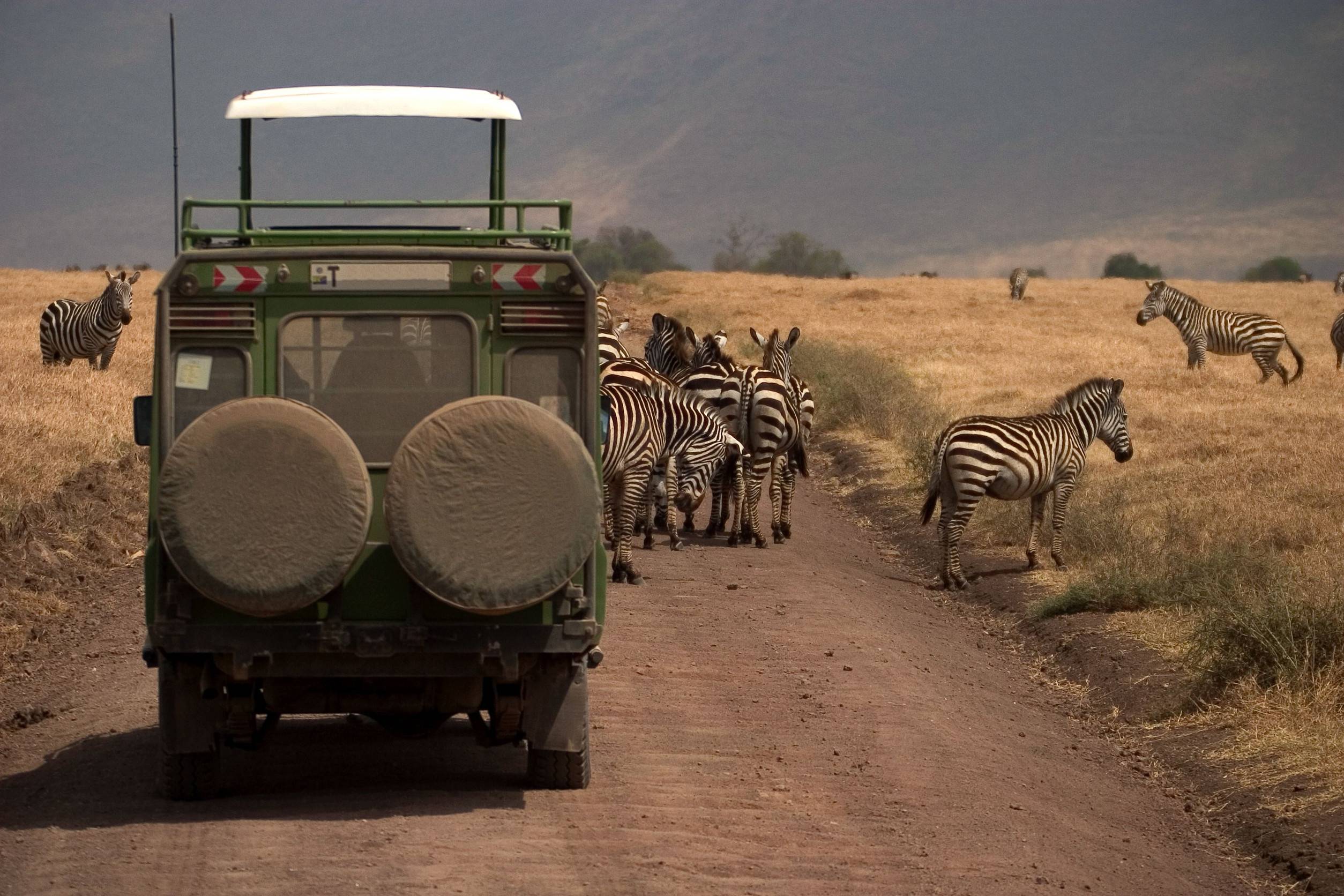 Affordable Wildlife Safari Ar Serengeti National Park Tanzania