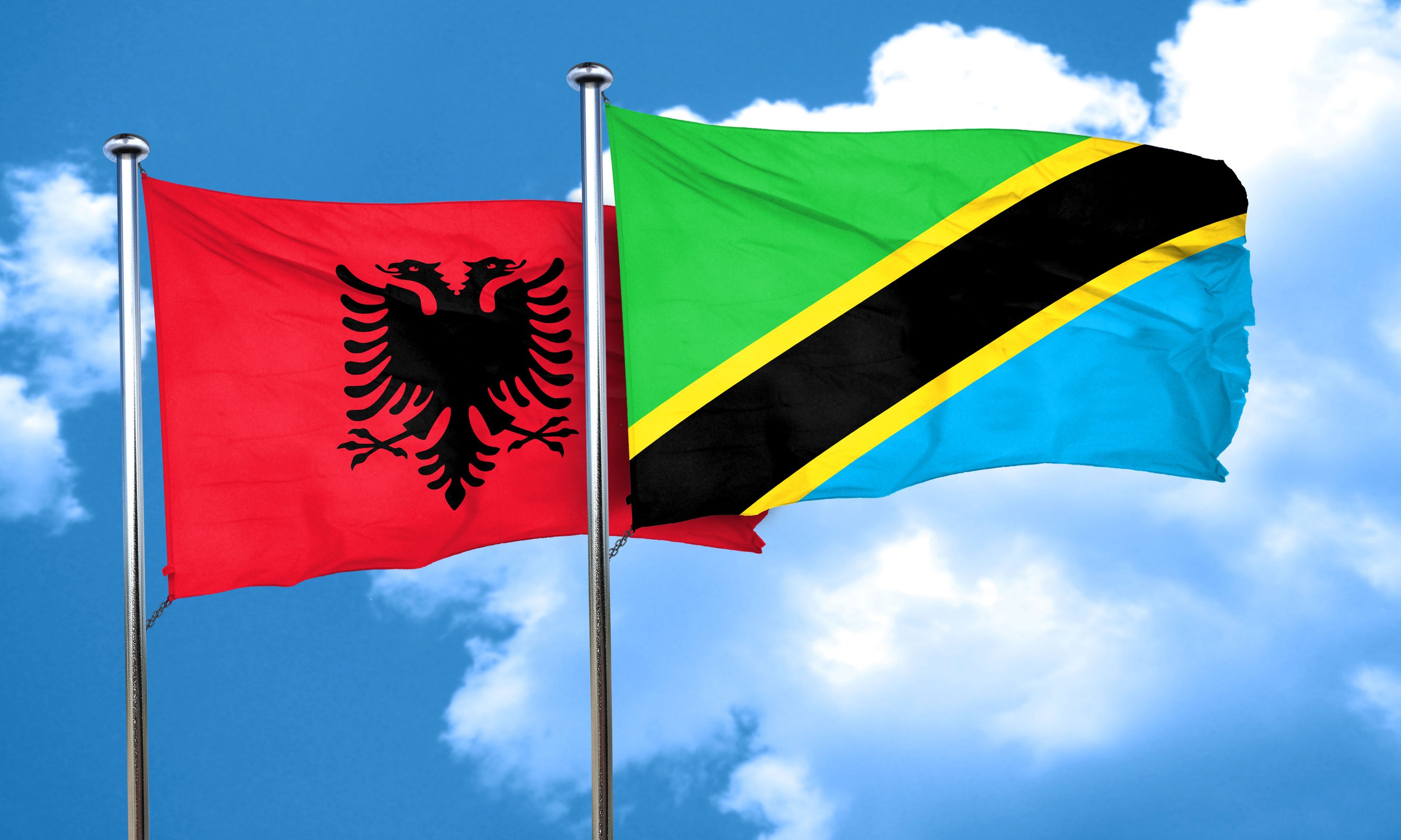 Albania Flag With Tanzania Flag