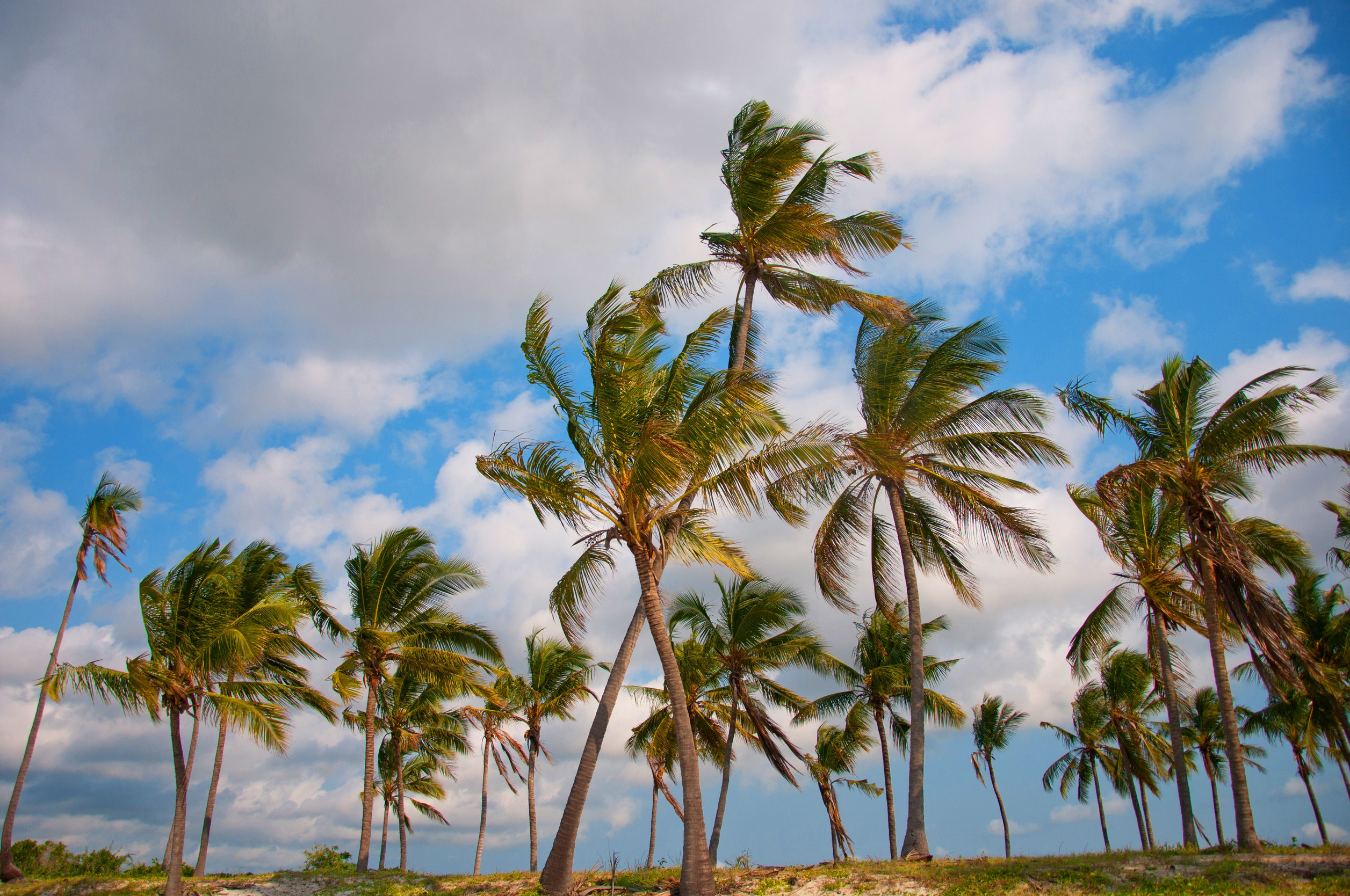 Bagamoyo The Historical Coastal Town