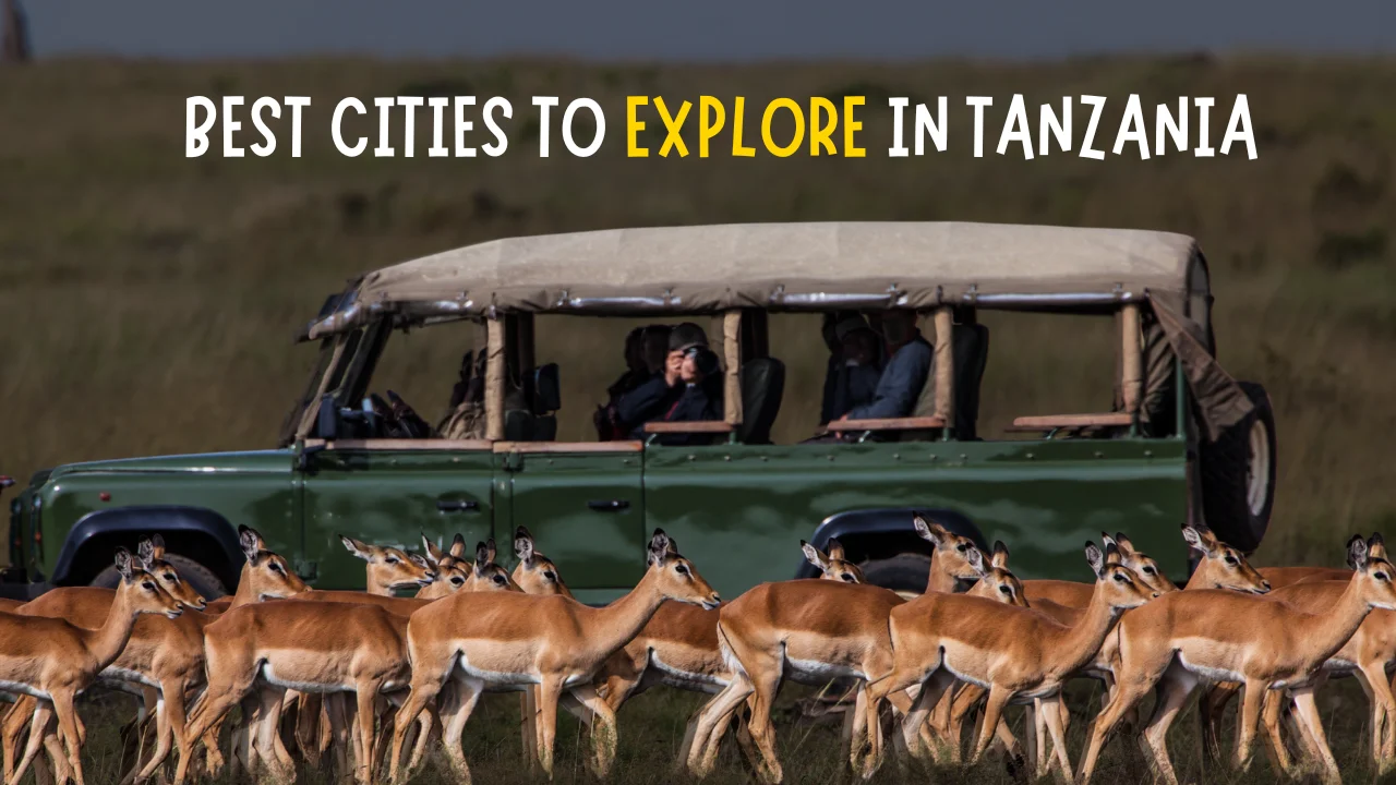 Best Cities to Explore in Tanzania Video Thumbnail