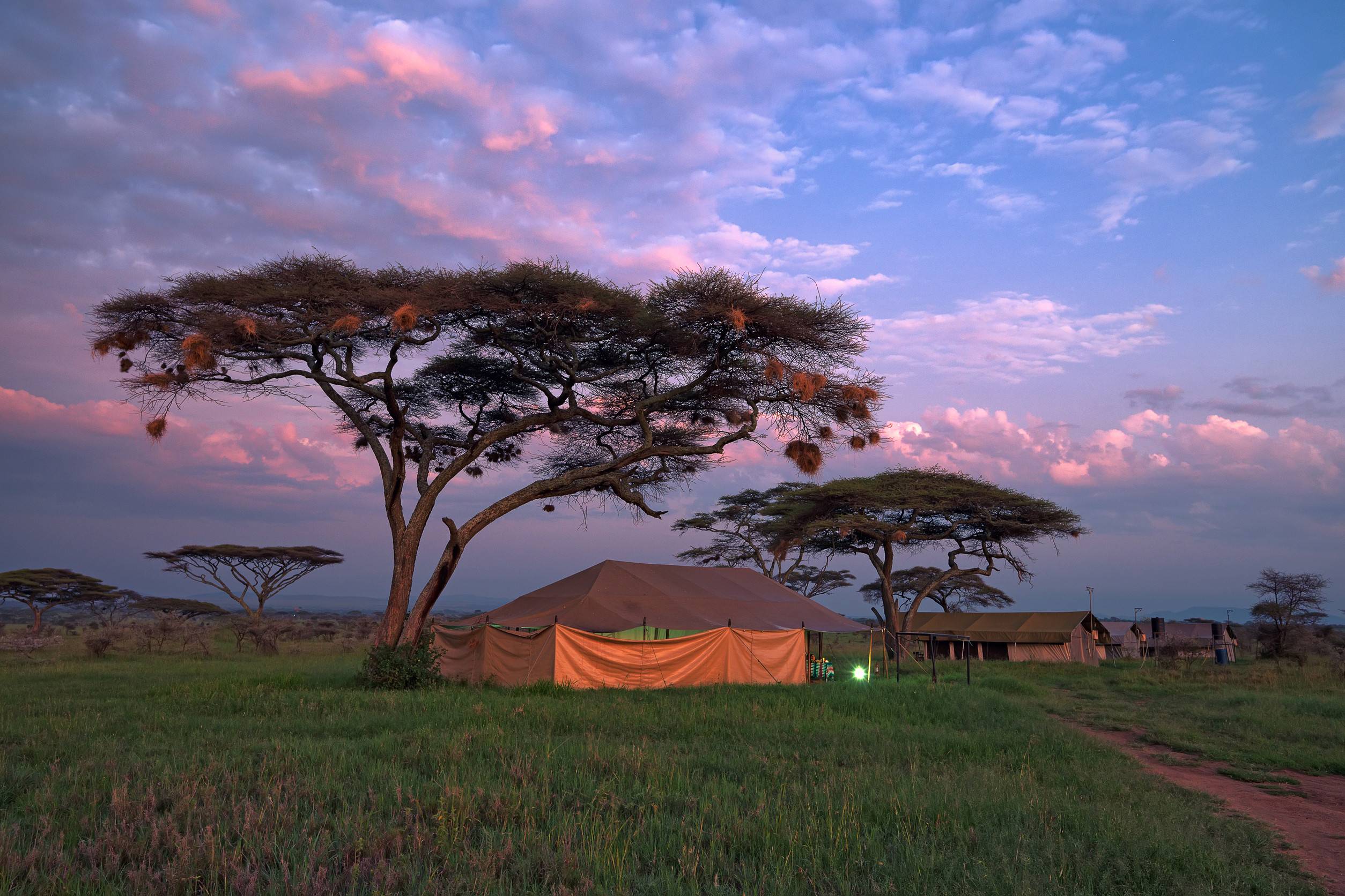 Camping In Serengeti During Safari