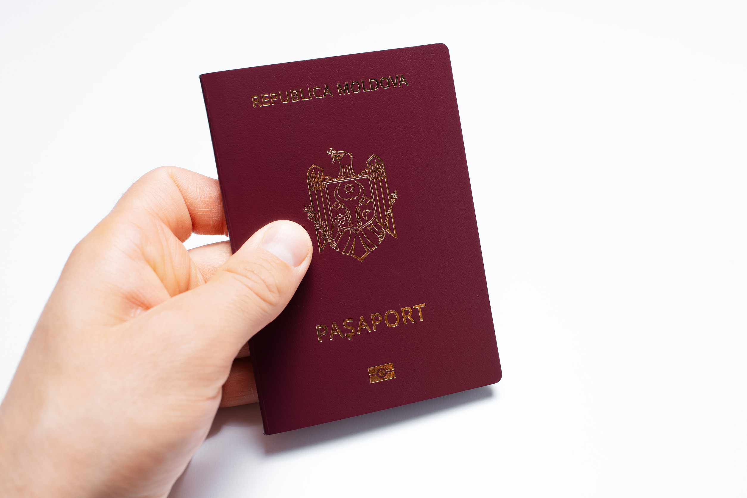 Close Up Pic Moldova