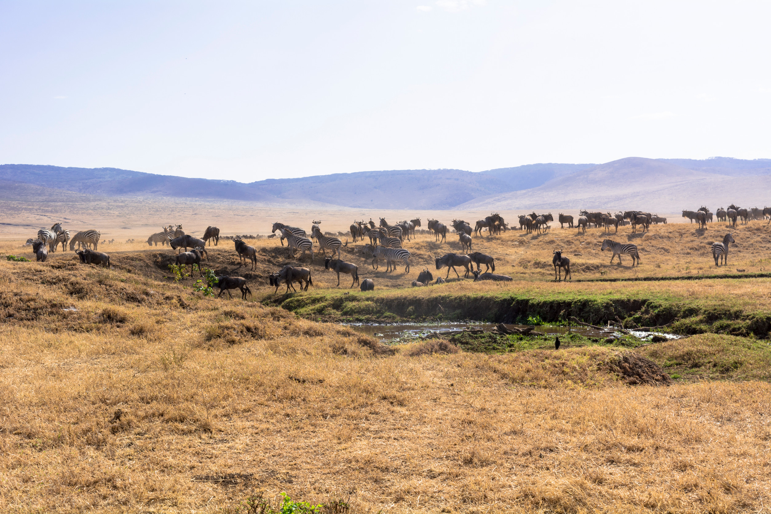 Expansion and Development of Tourism Infrastructure