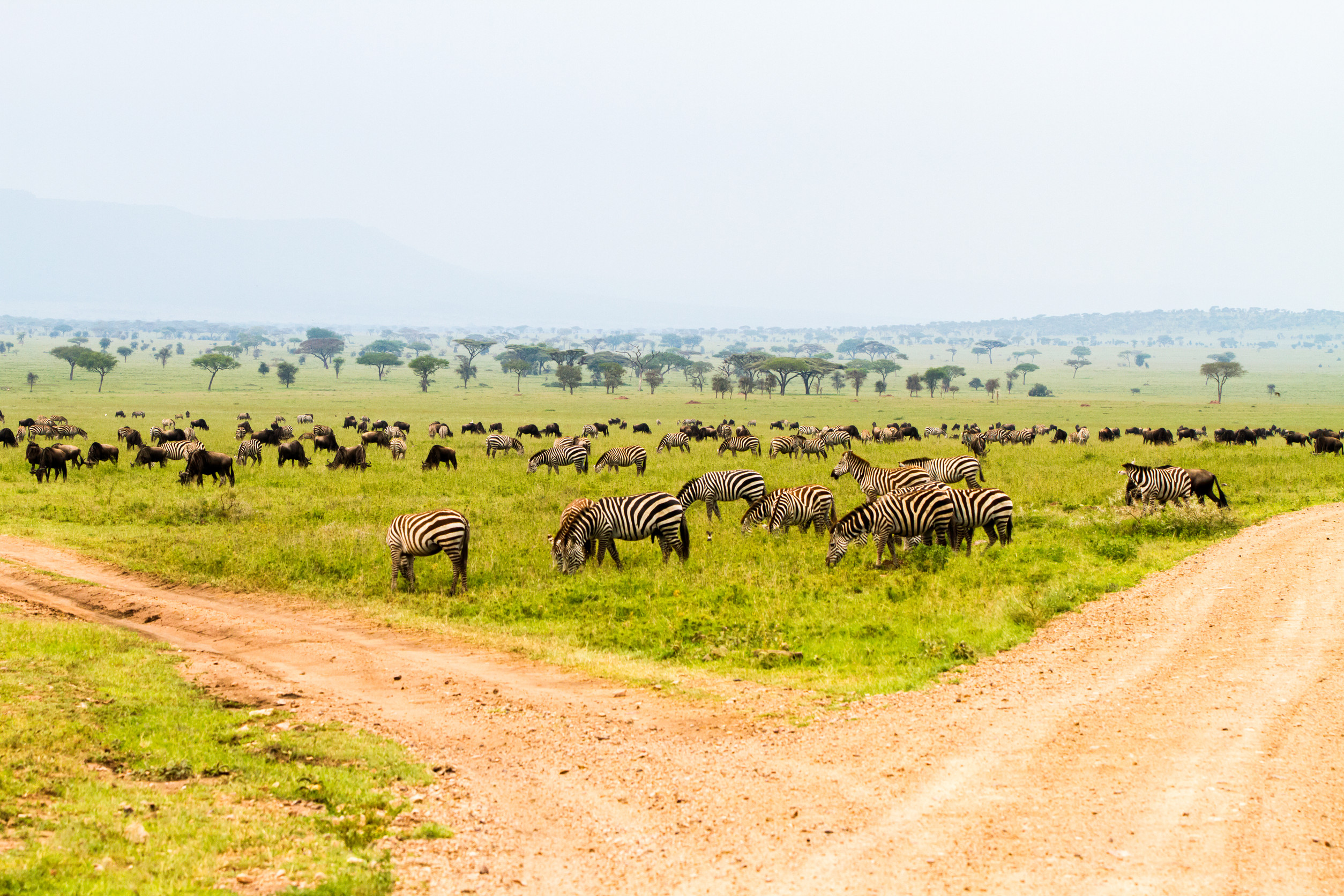 Environmental And Wildlife Respect In Tanzania