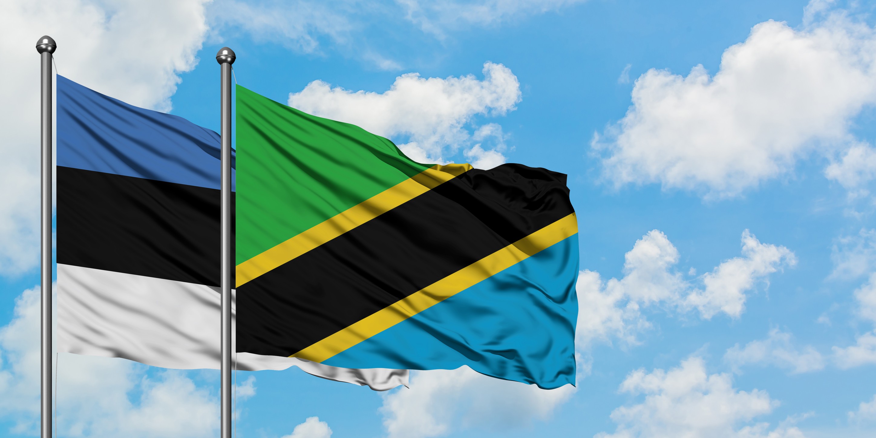 Estonia And Tanzania Flag Waving In The Wind Against White