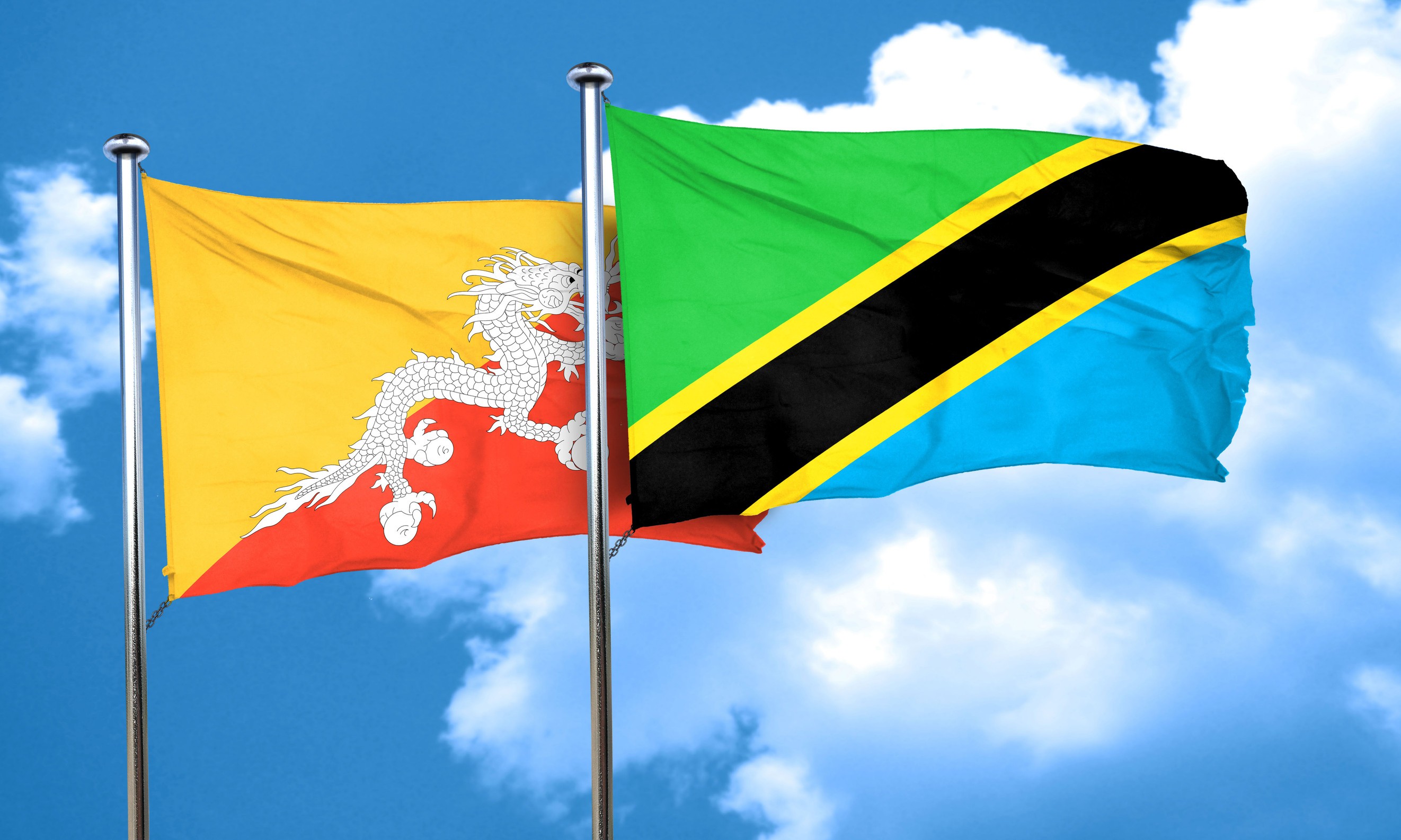 Flag Of Bhutan With The Flag Of Tanzania
