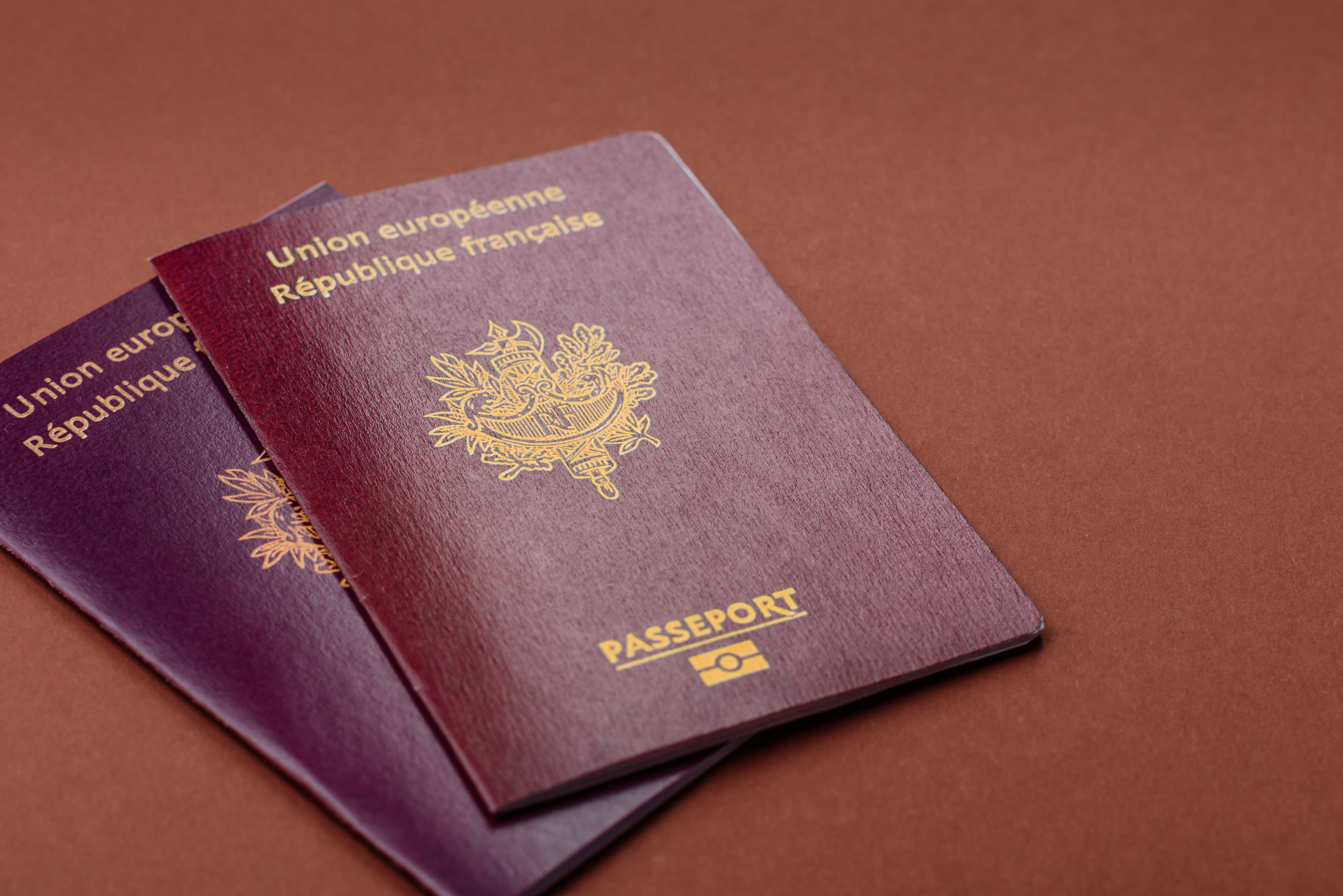 French Passport