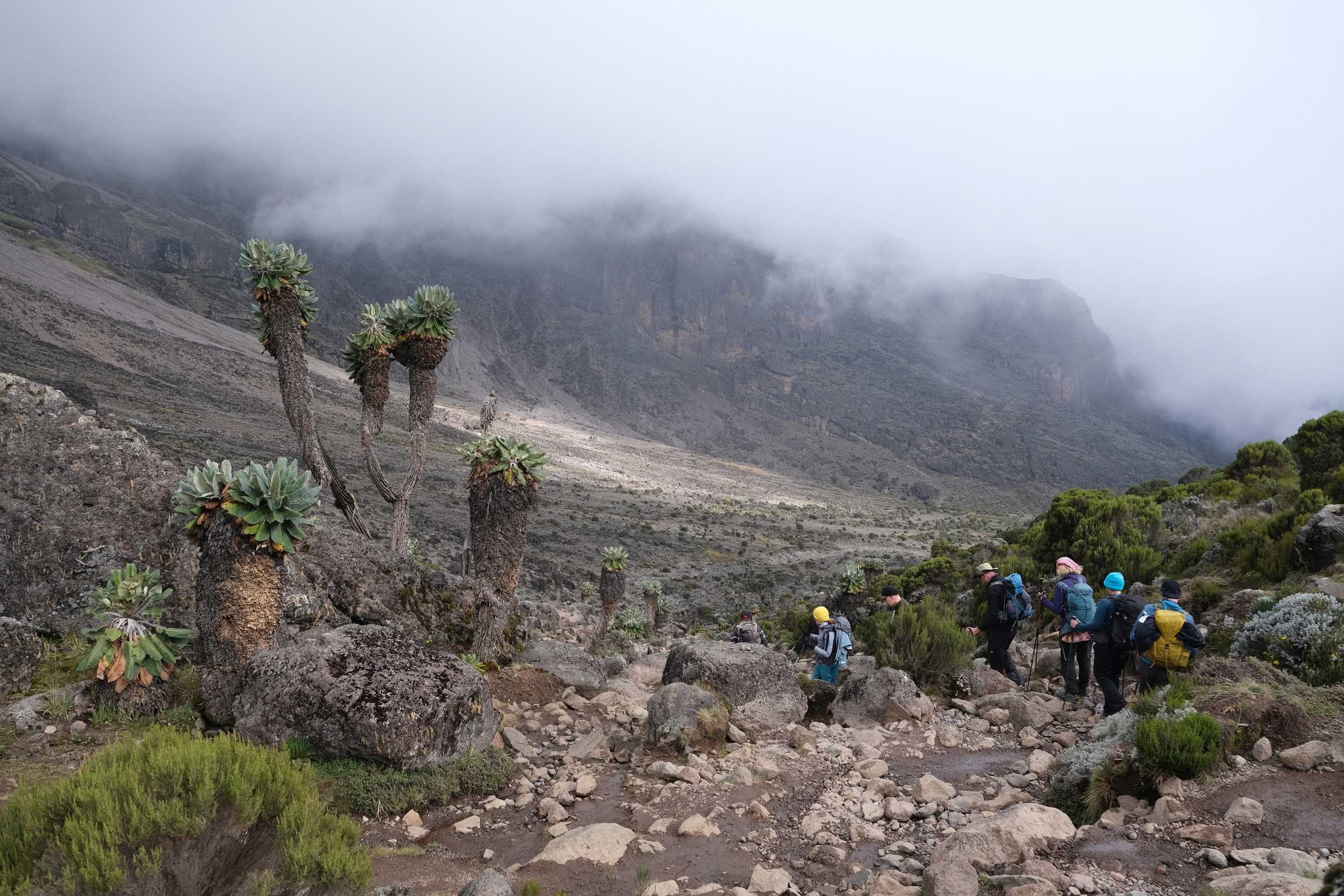 Hikers Climbing Mount Kilimanjaro
