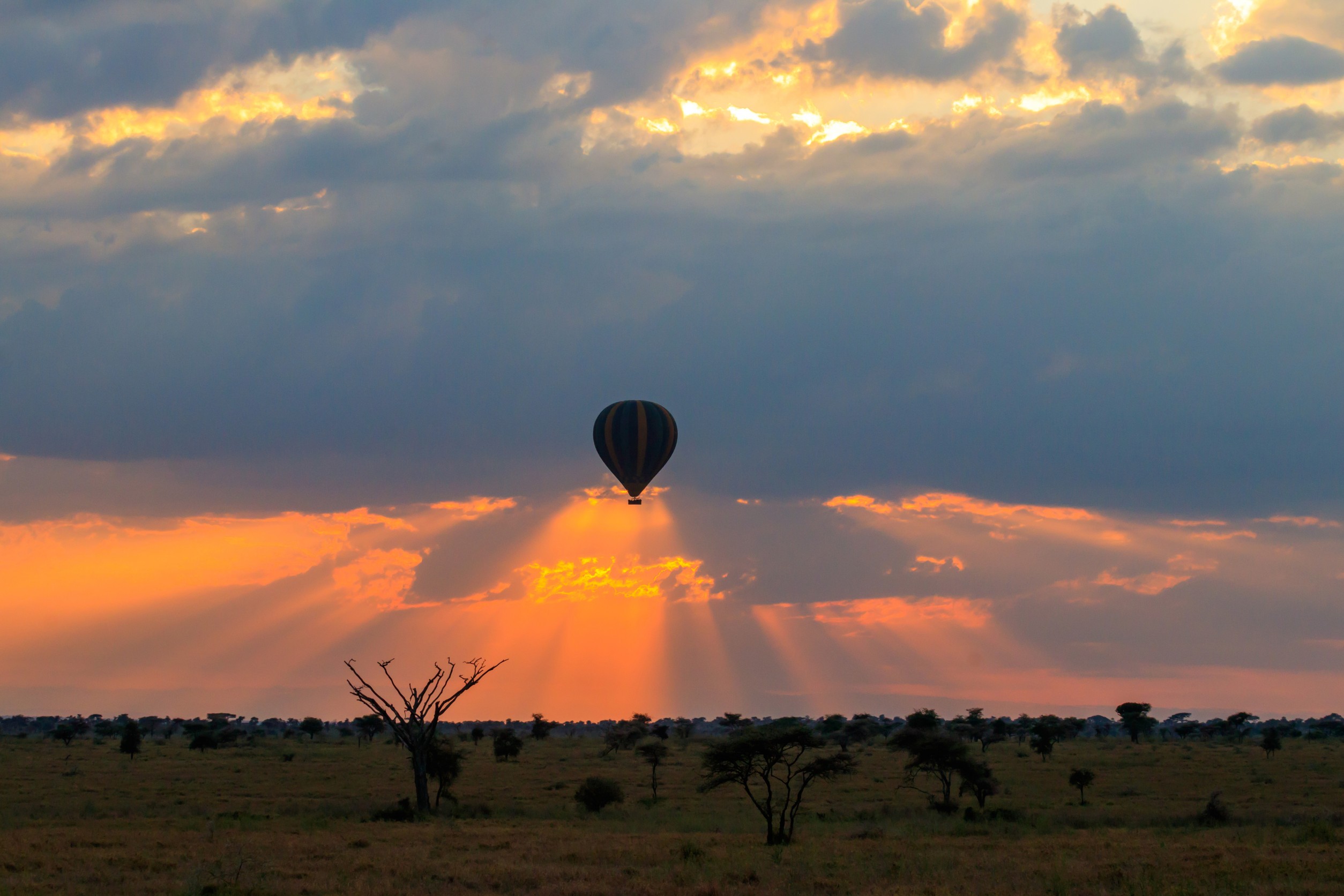 Hot Air Balloons Over Serengeti National Park
