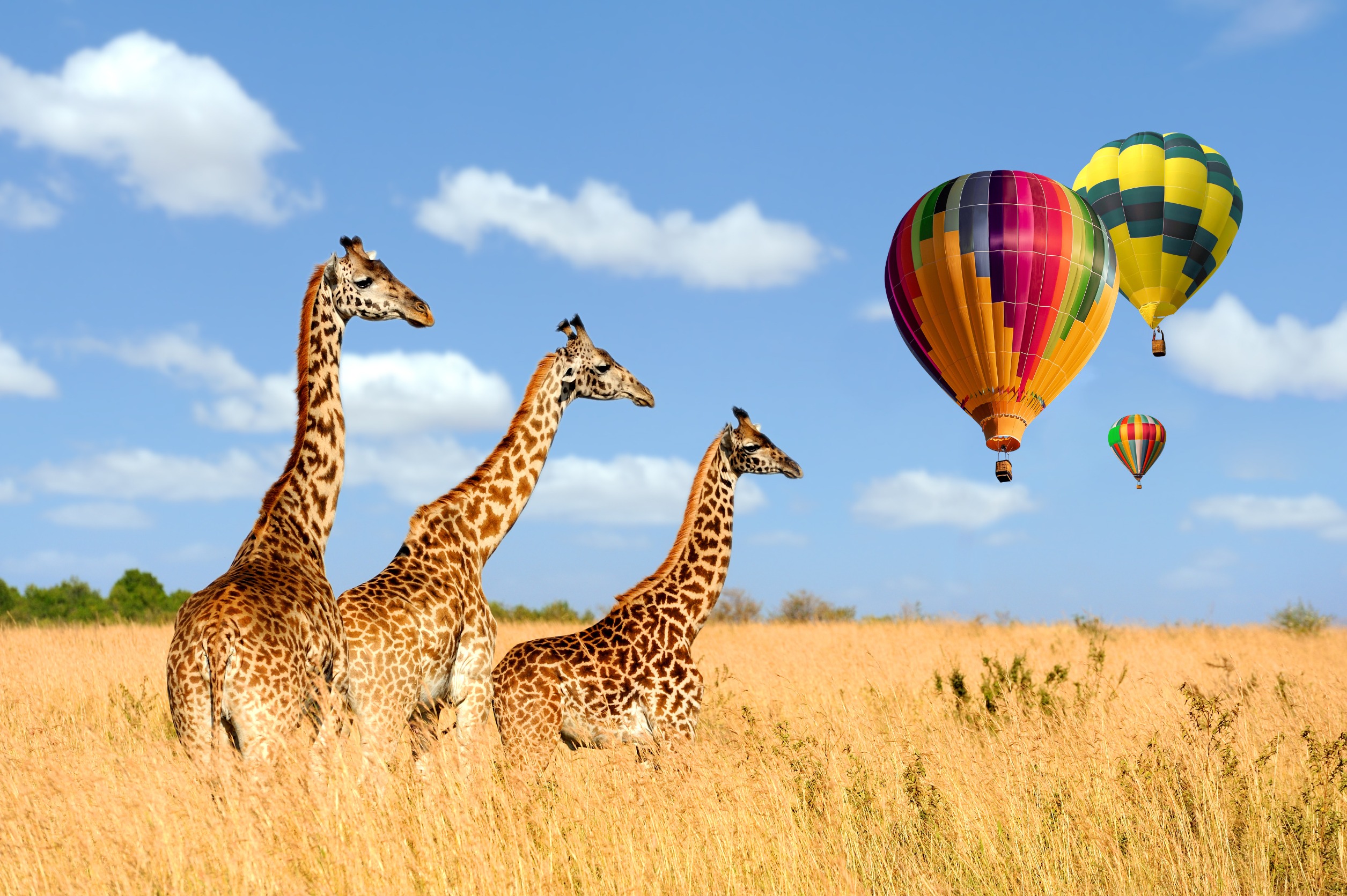 Ngorongoro Crater