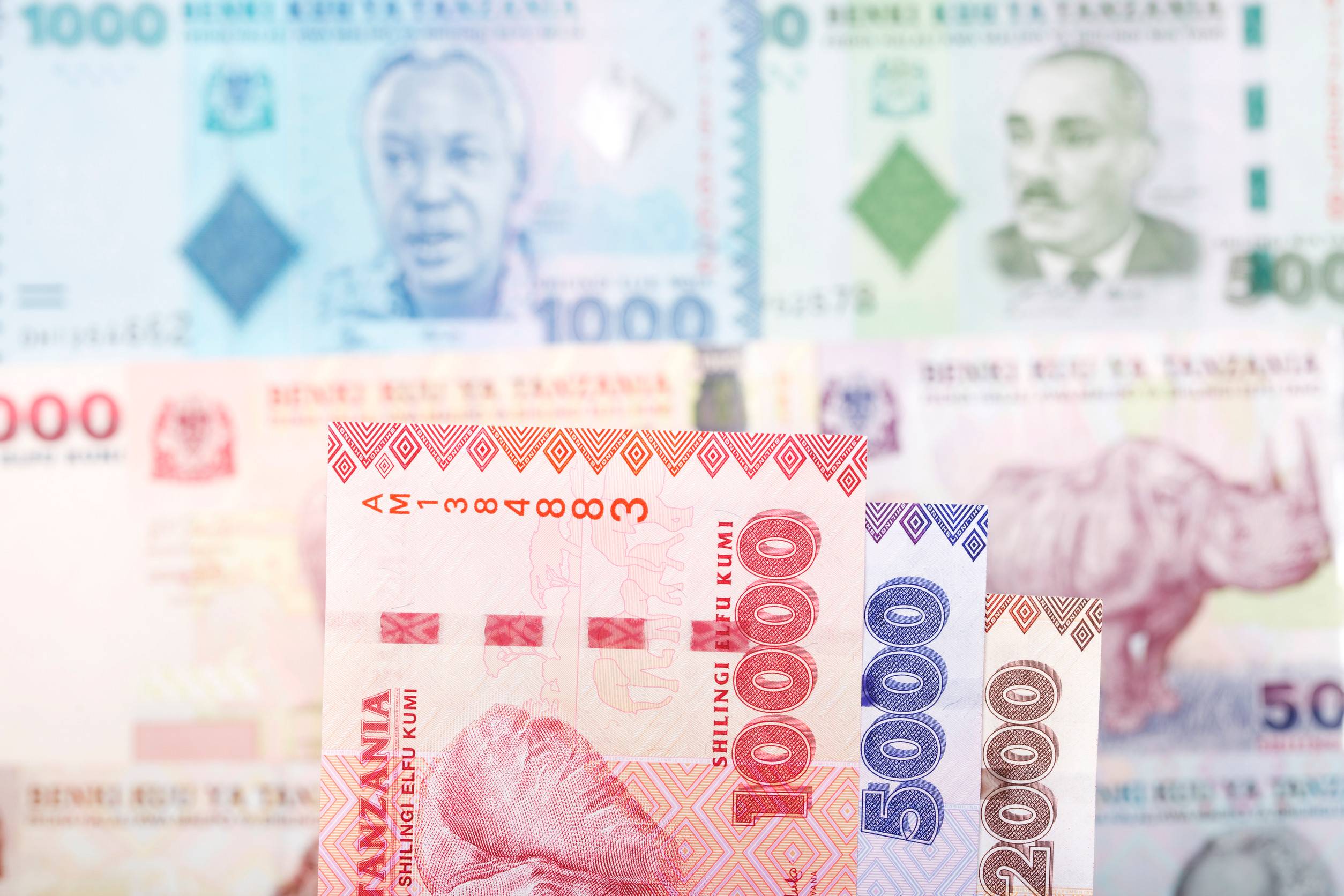 Image Of Tanzanian Shilling Notes