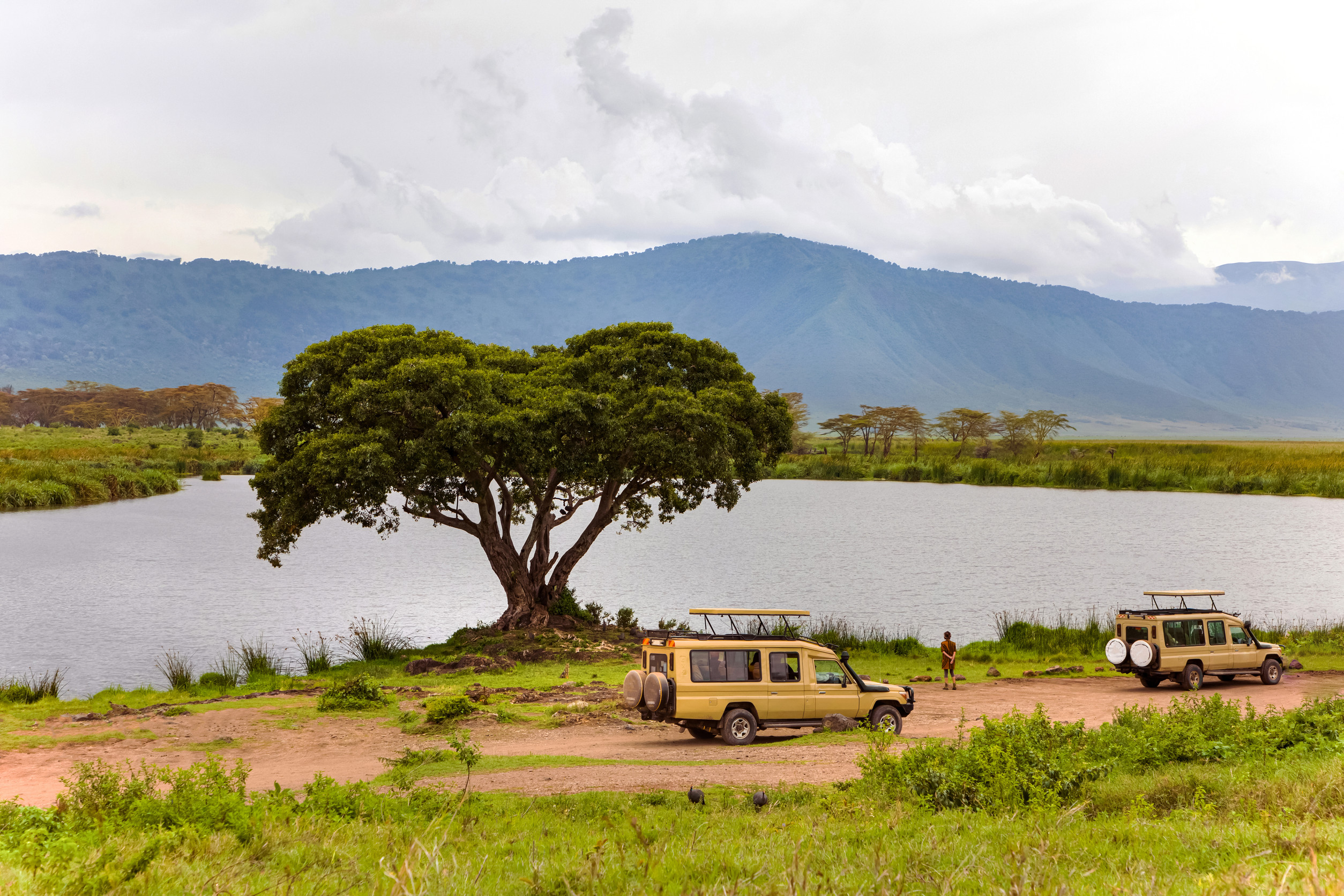 Luxury Transport Options In Tanzania