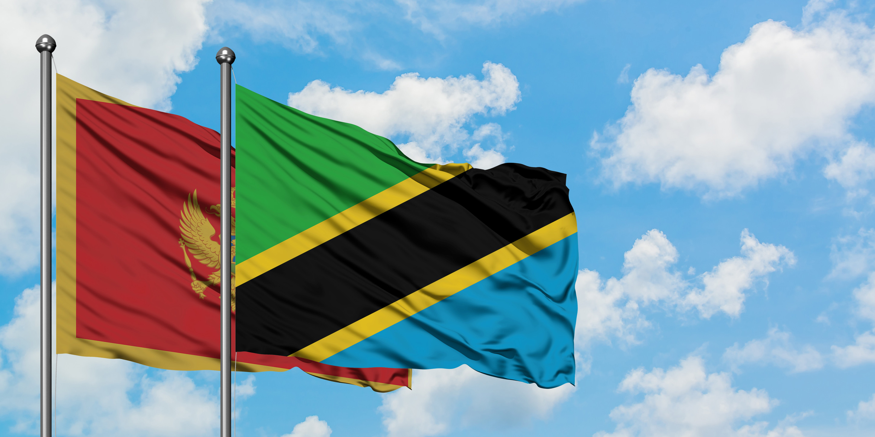 Montenegro And Tanzania Flag