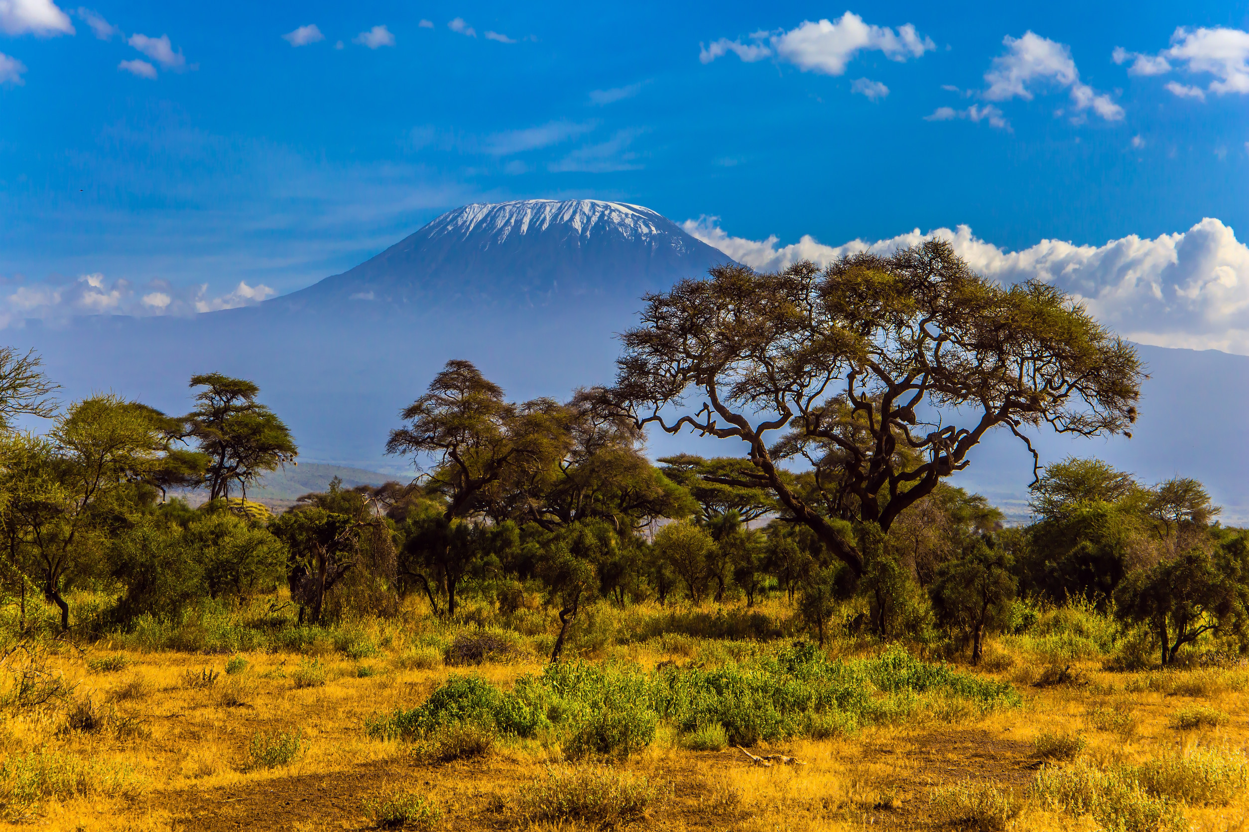 Mount Kilimanjaro New