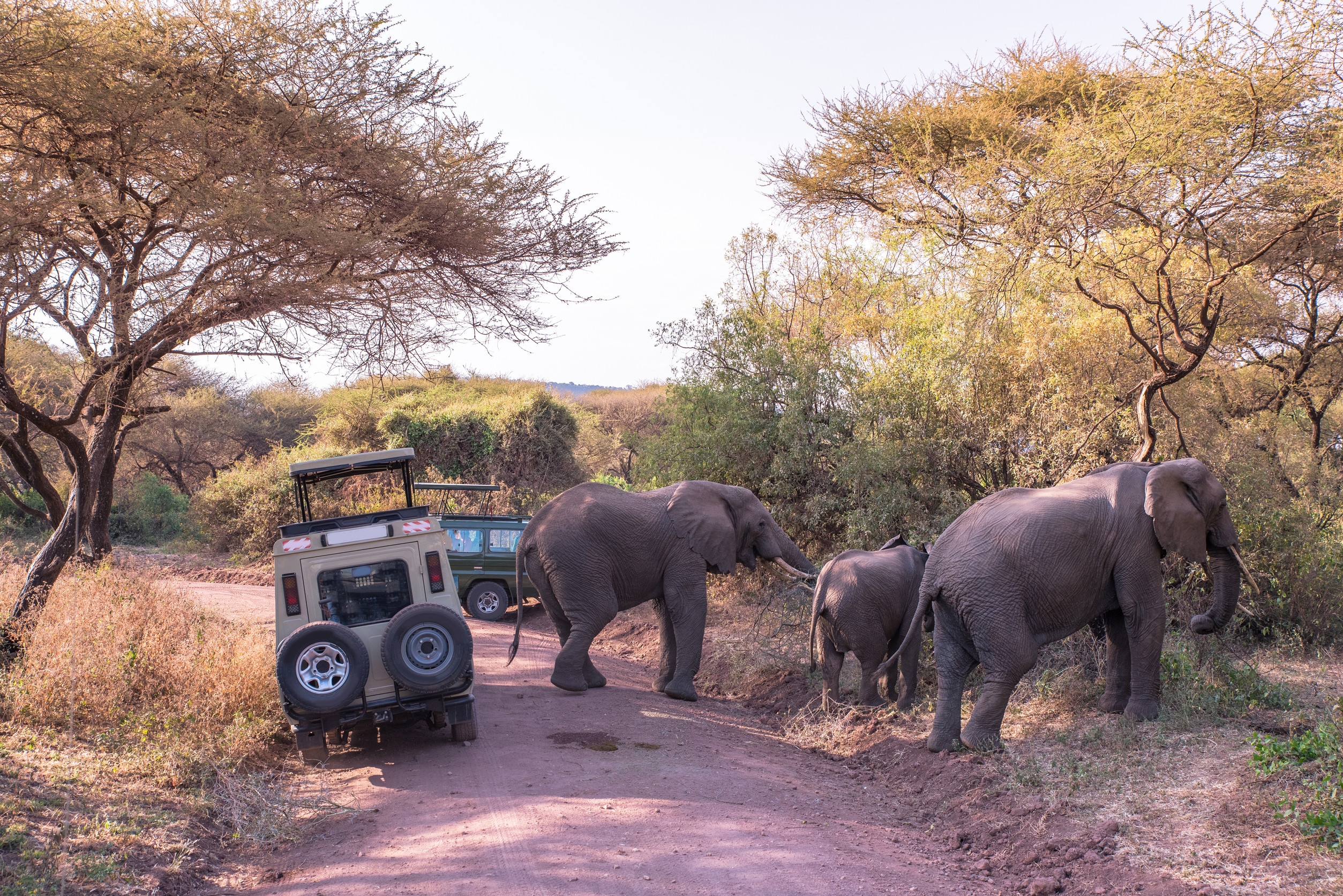 Mto Wa Mbu Cultural Tourism