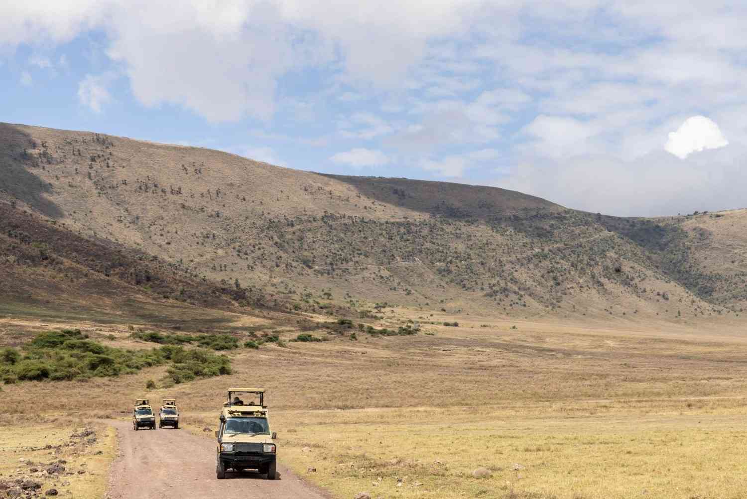 Ngorongoro Crater Safari