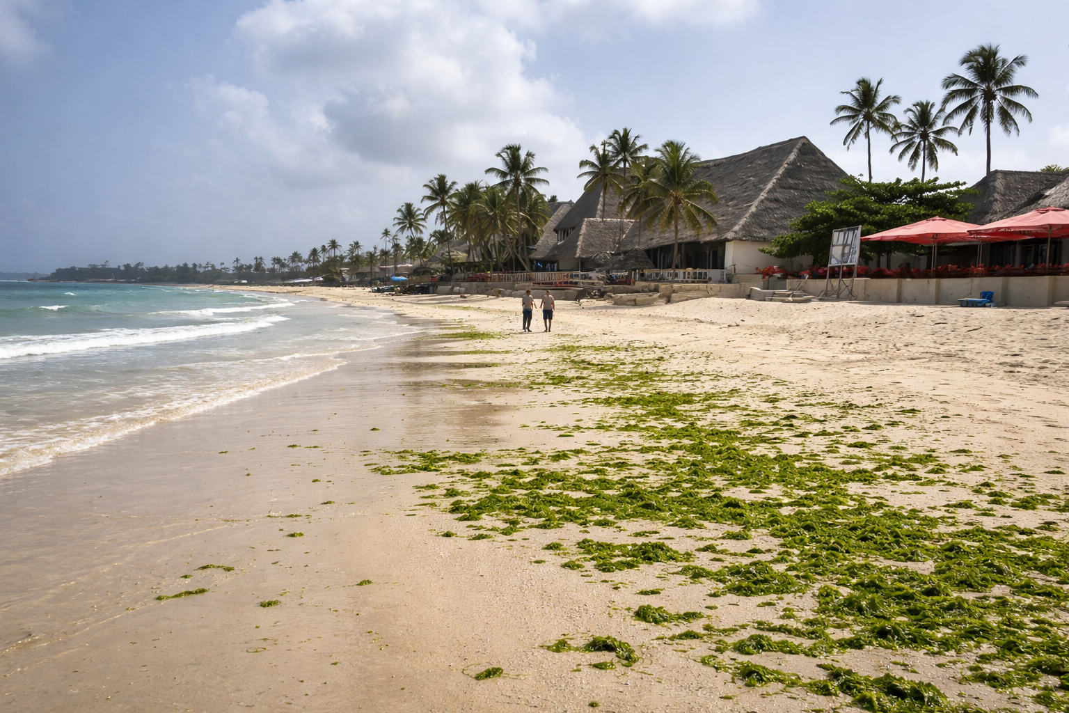 Oyster Bay Coco Beach