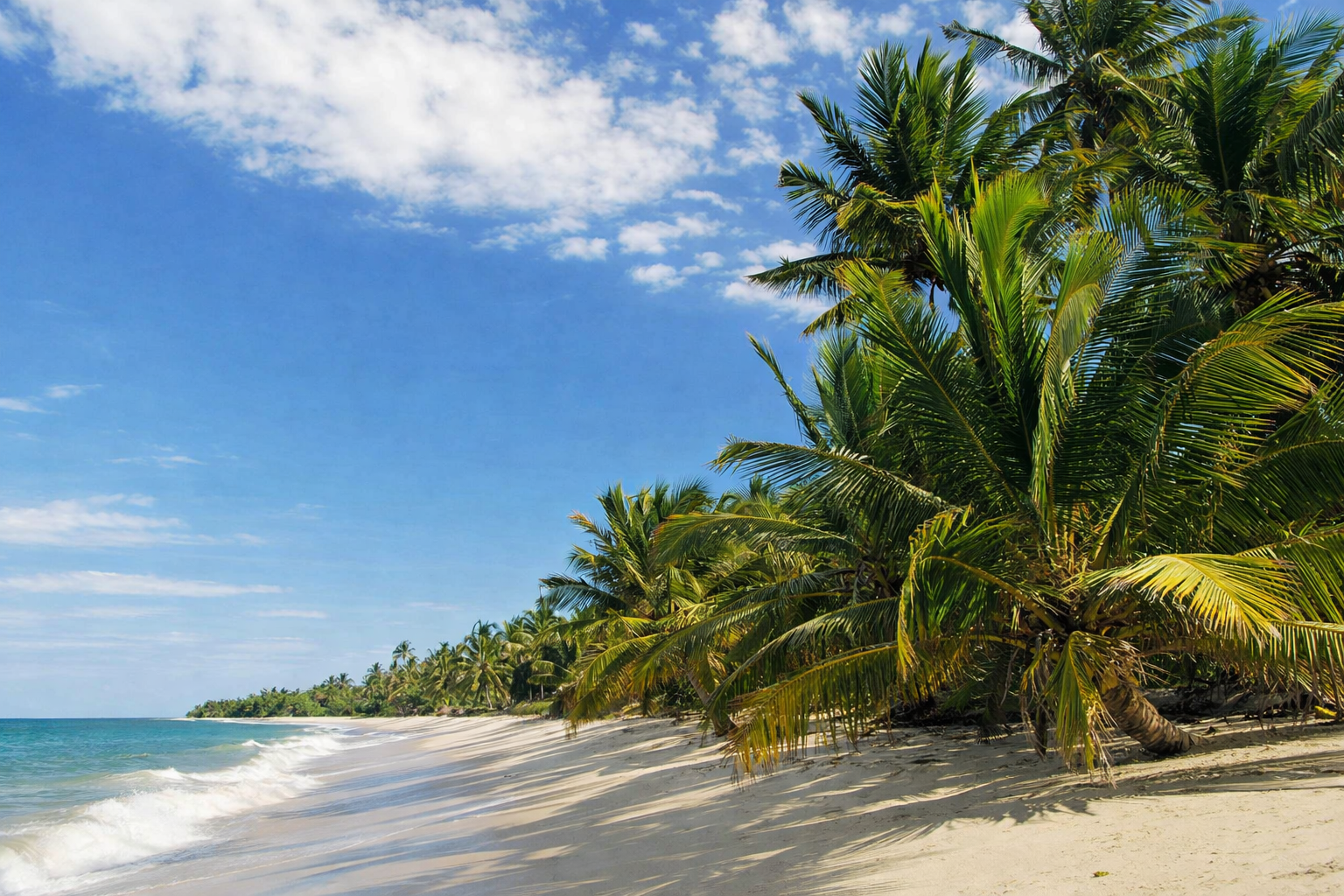 Pangani Beach With Peaceful Surroundings