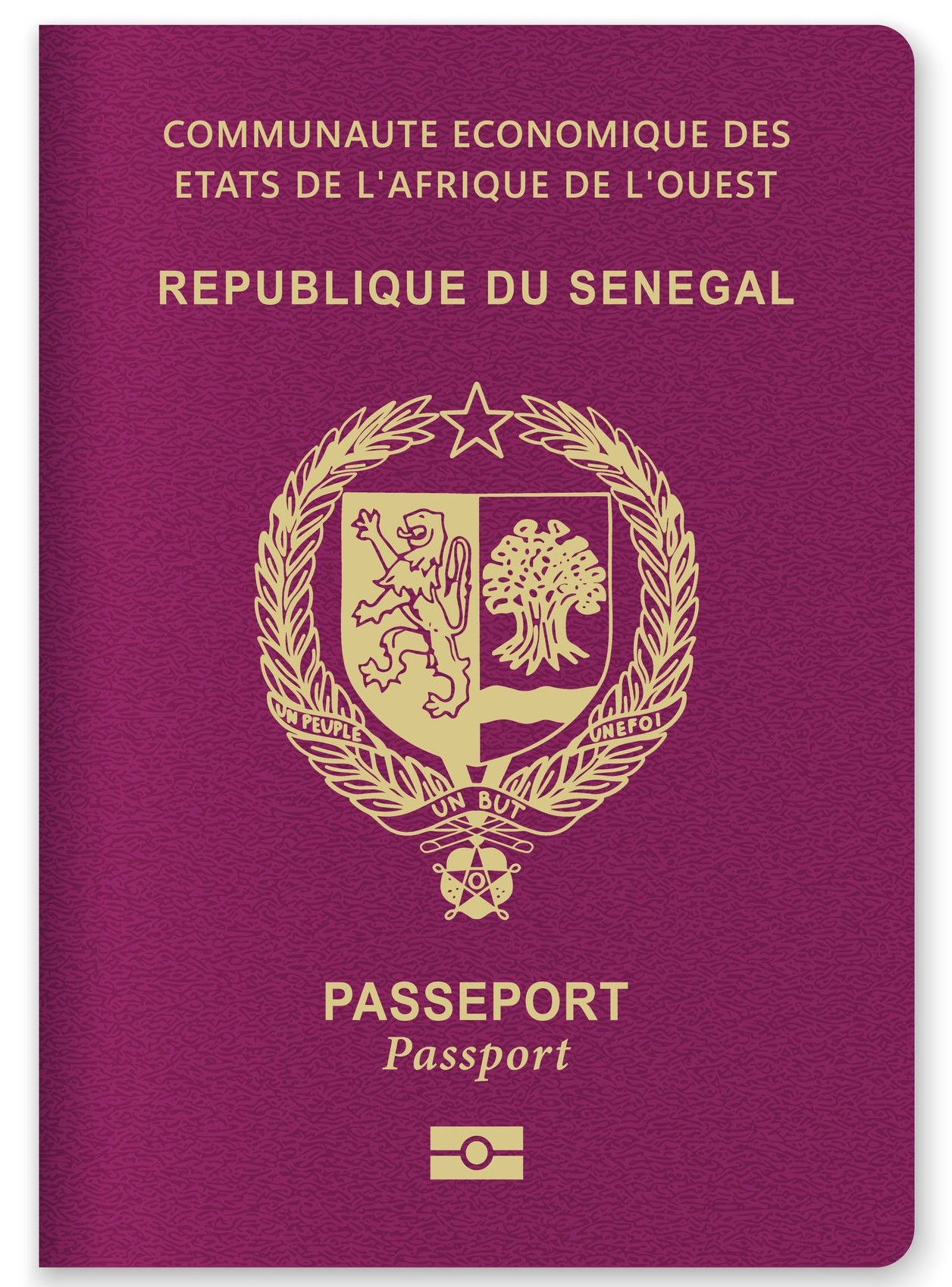 Passport From Senegal Isolated