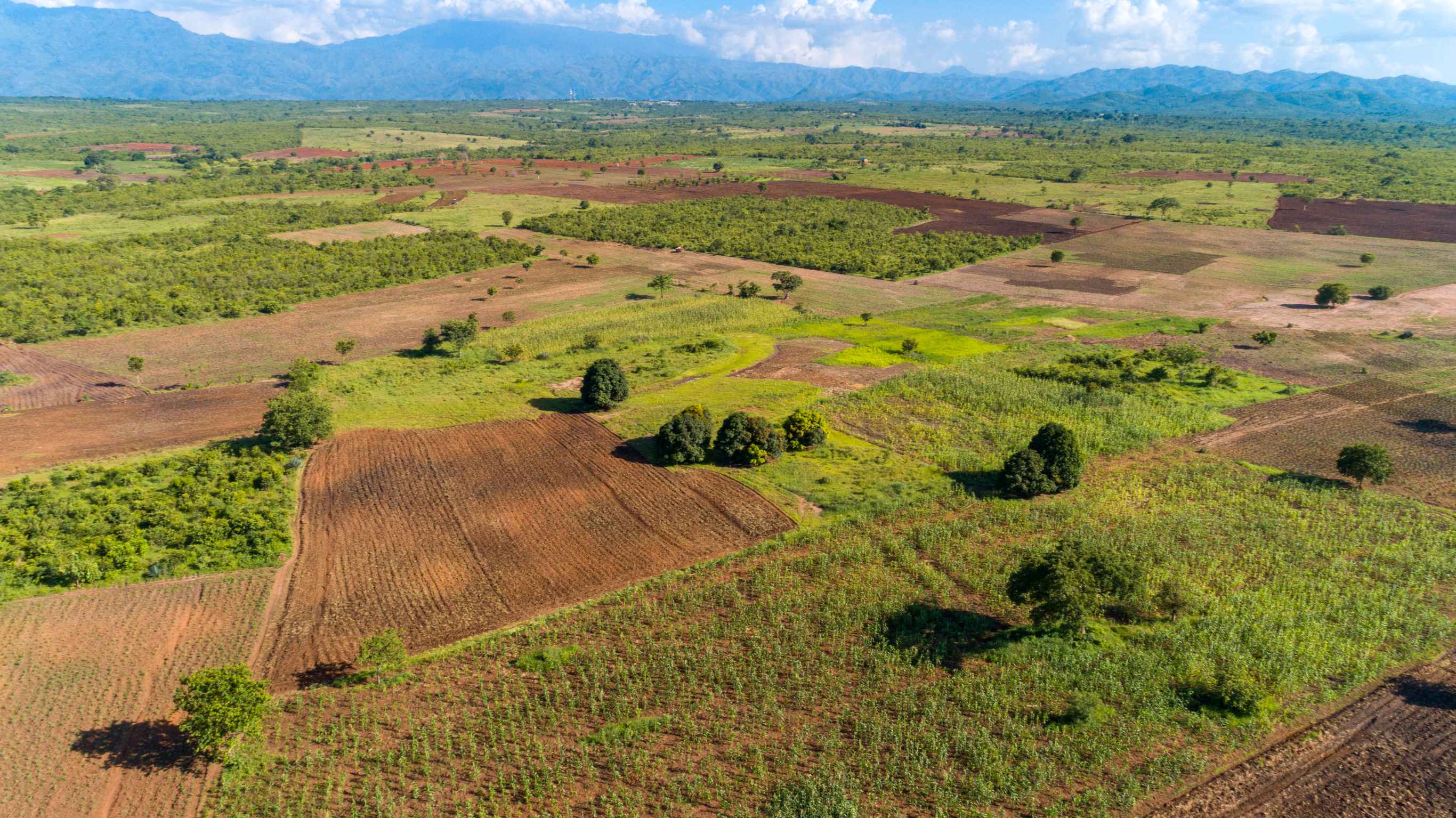 Patches Of Farmland In Tanzania