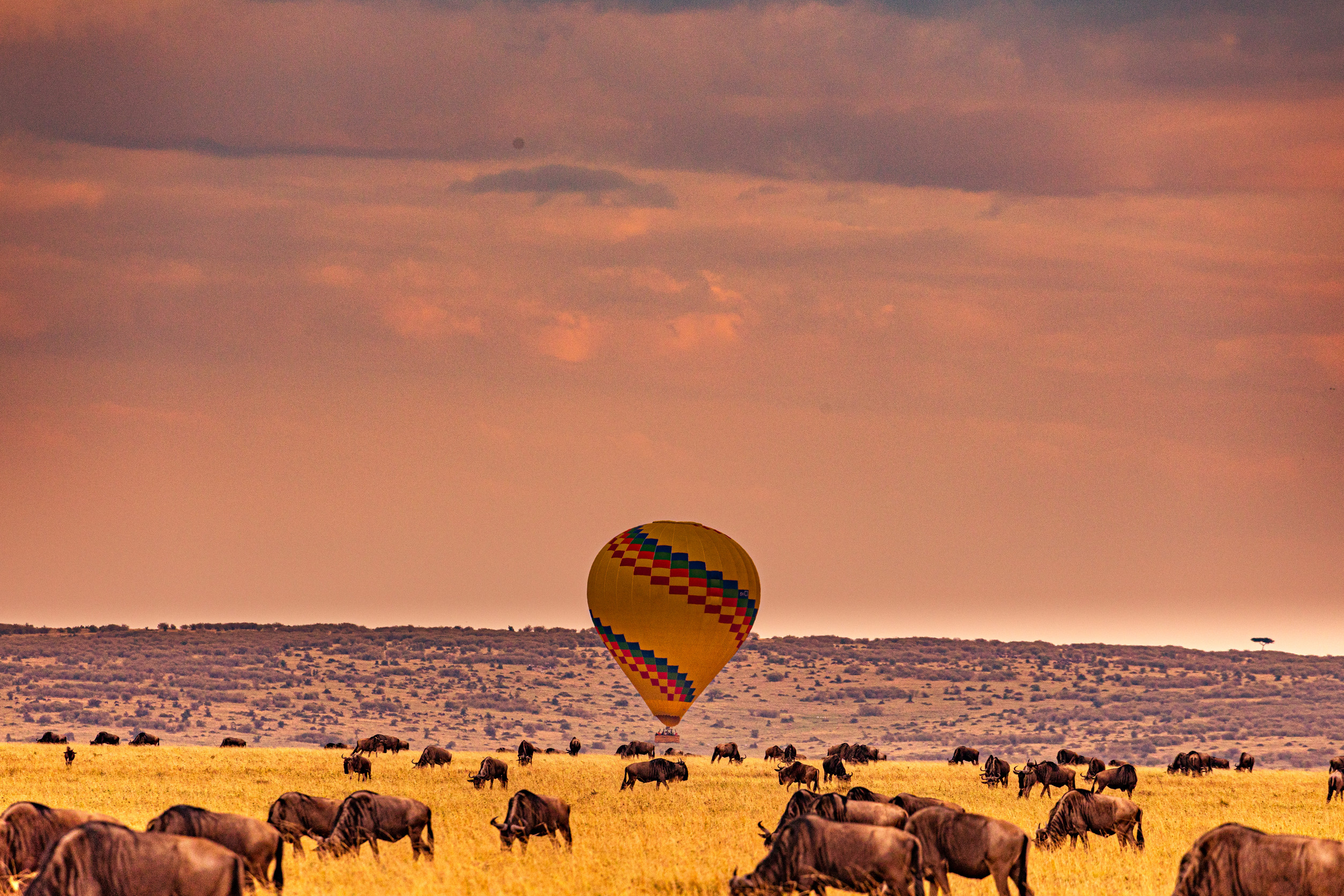 Private Safaris In The Serengeti National Park