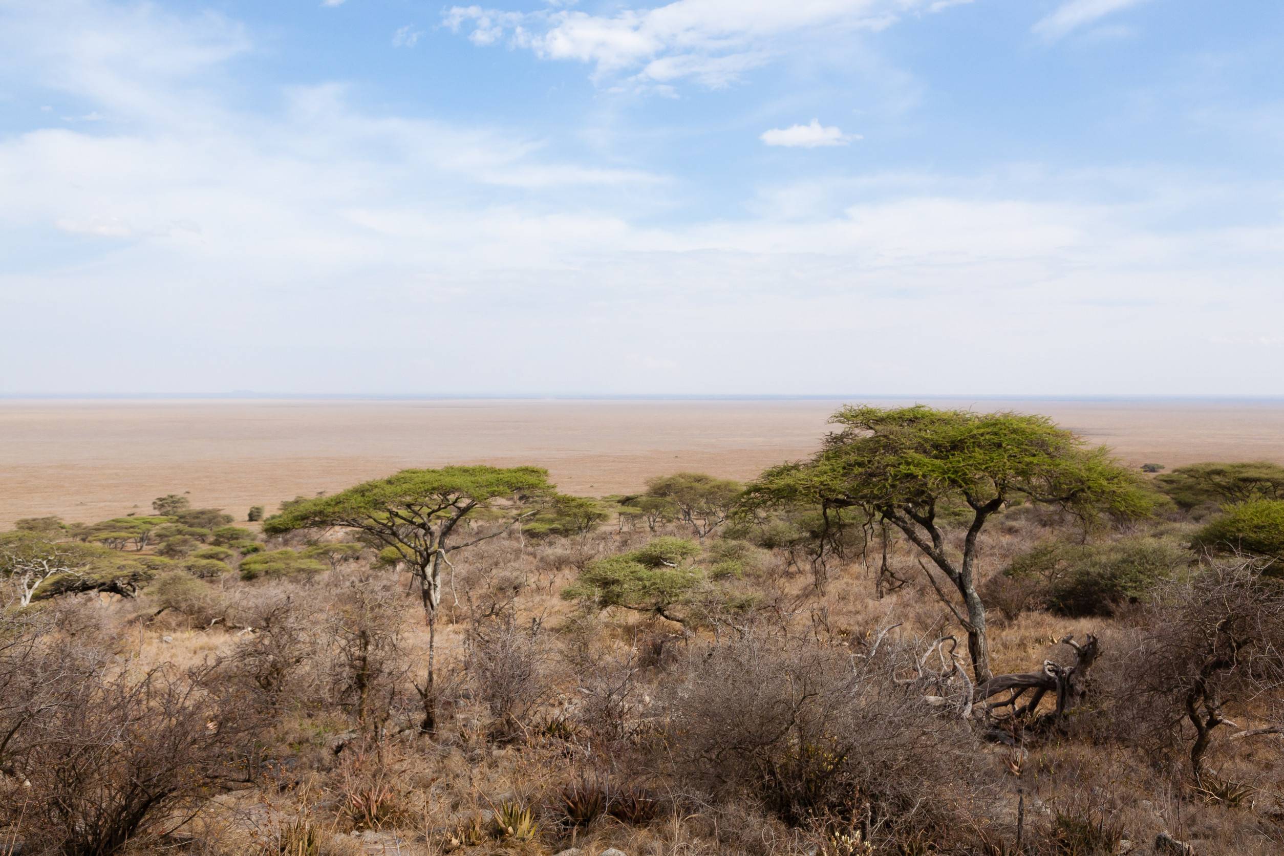Serengeti National Park