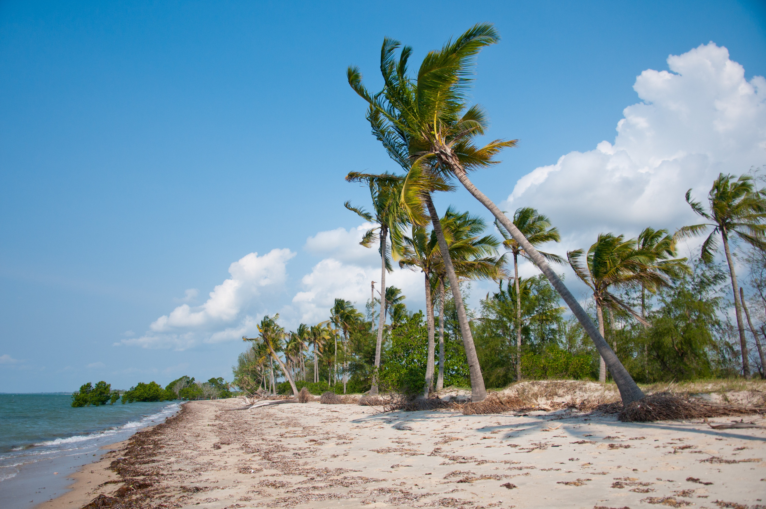 Saadani Beach
