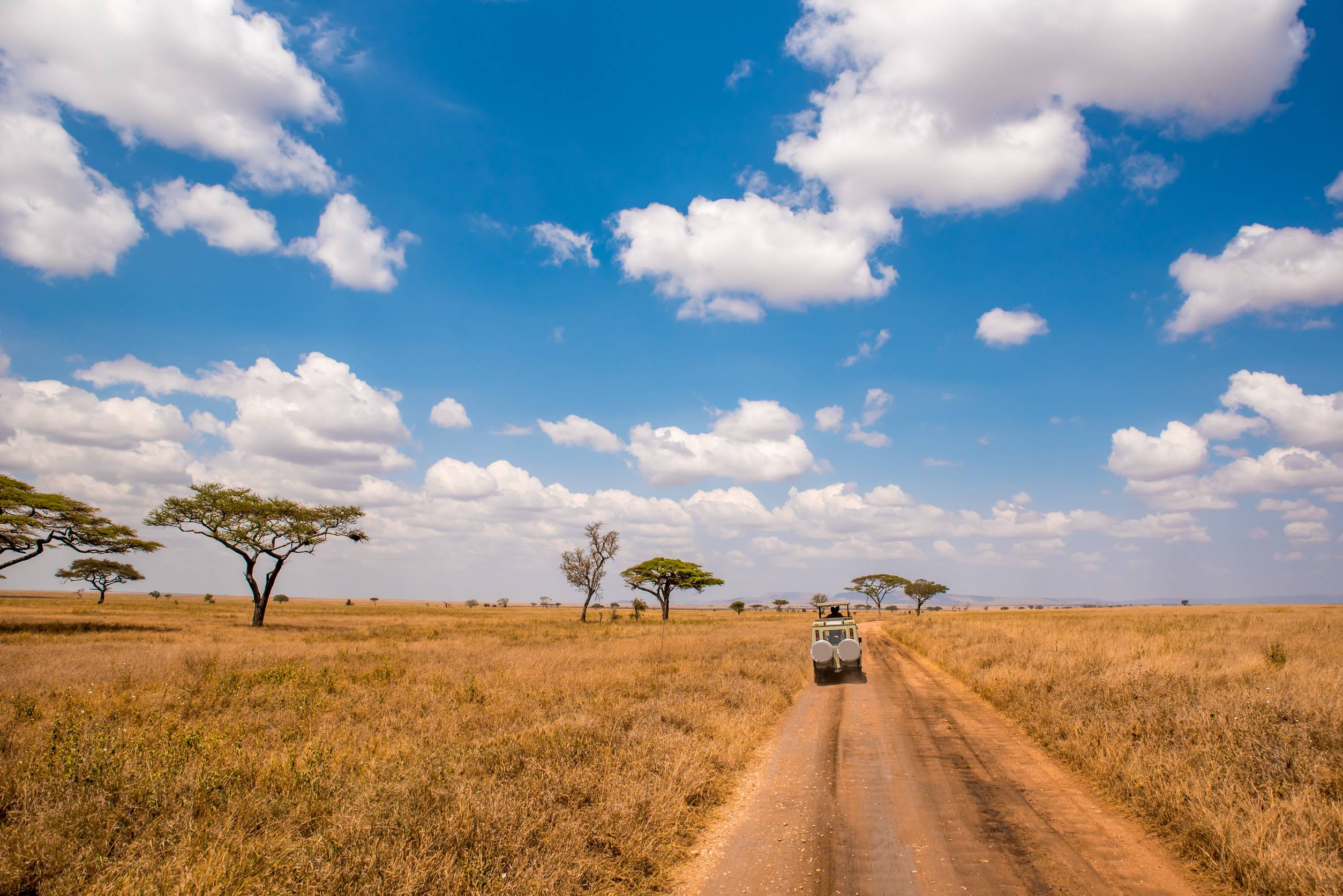 Safari Tourists On A Game Drive In Serengeti National Park