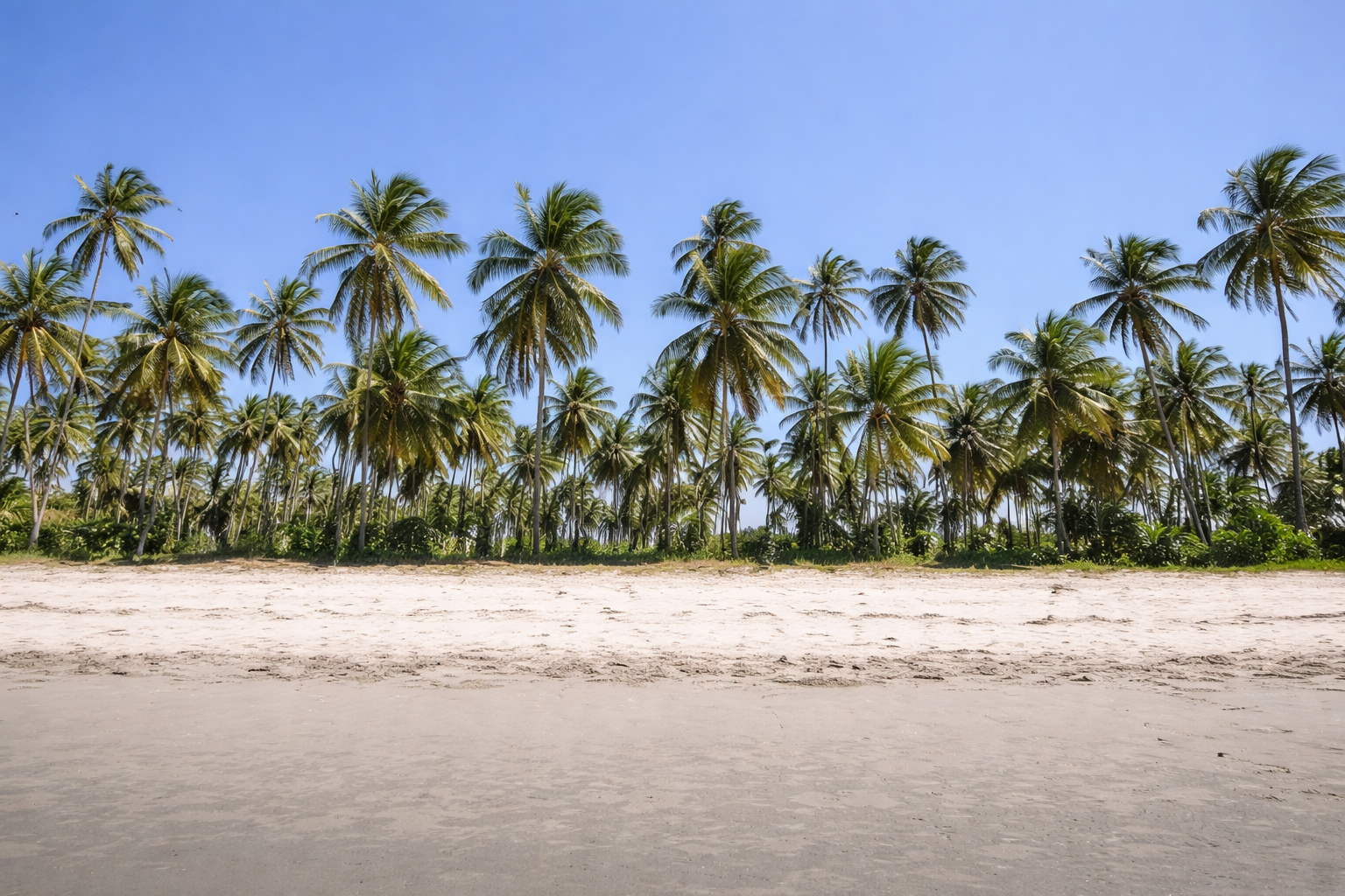 Sange Beach During The Day