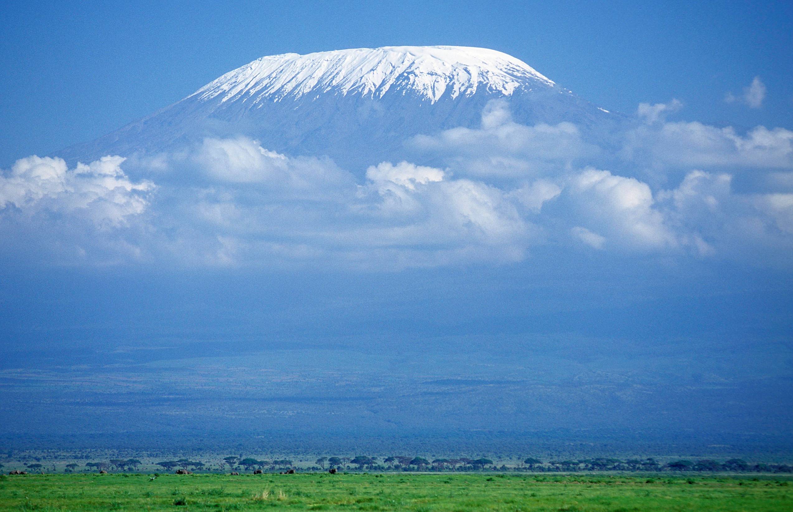 Savannahs And Kilimandjaro Mountain Tanzania