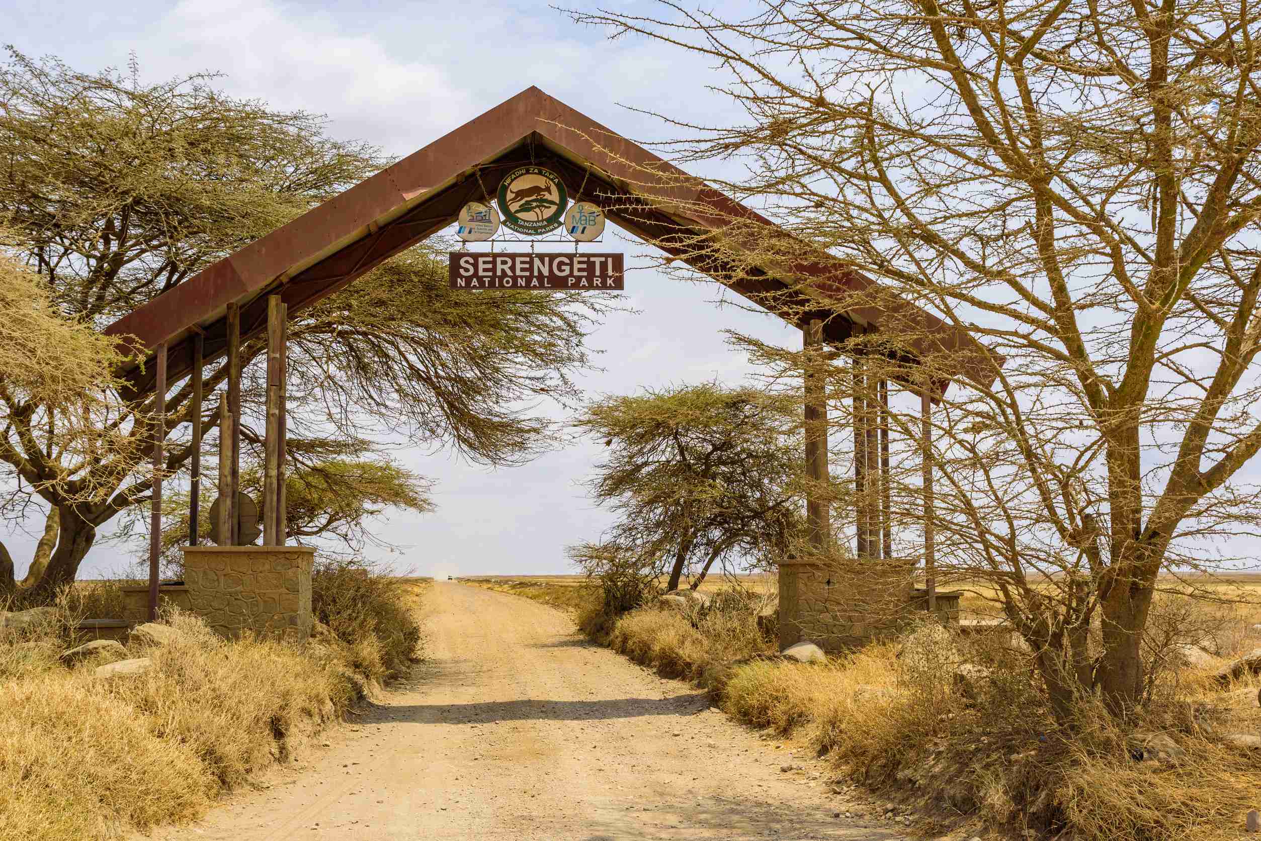 Serengeti National Park In Beautiful Landscape Scenery Tanzania