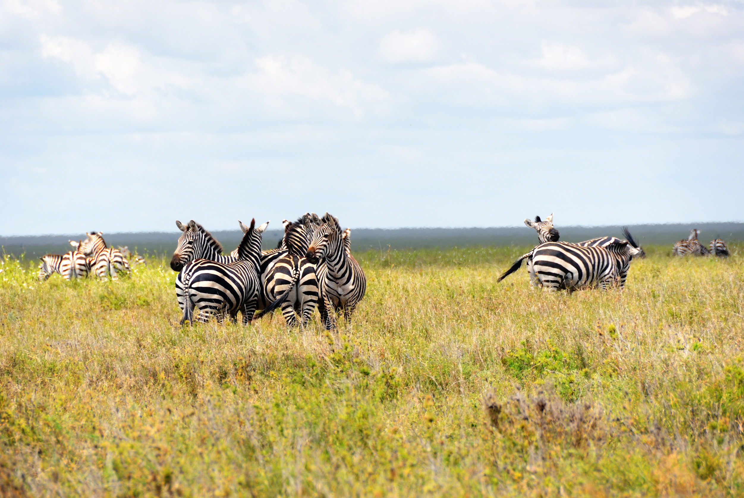 Serengeti National Park