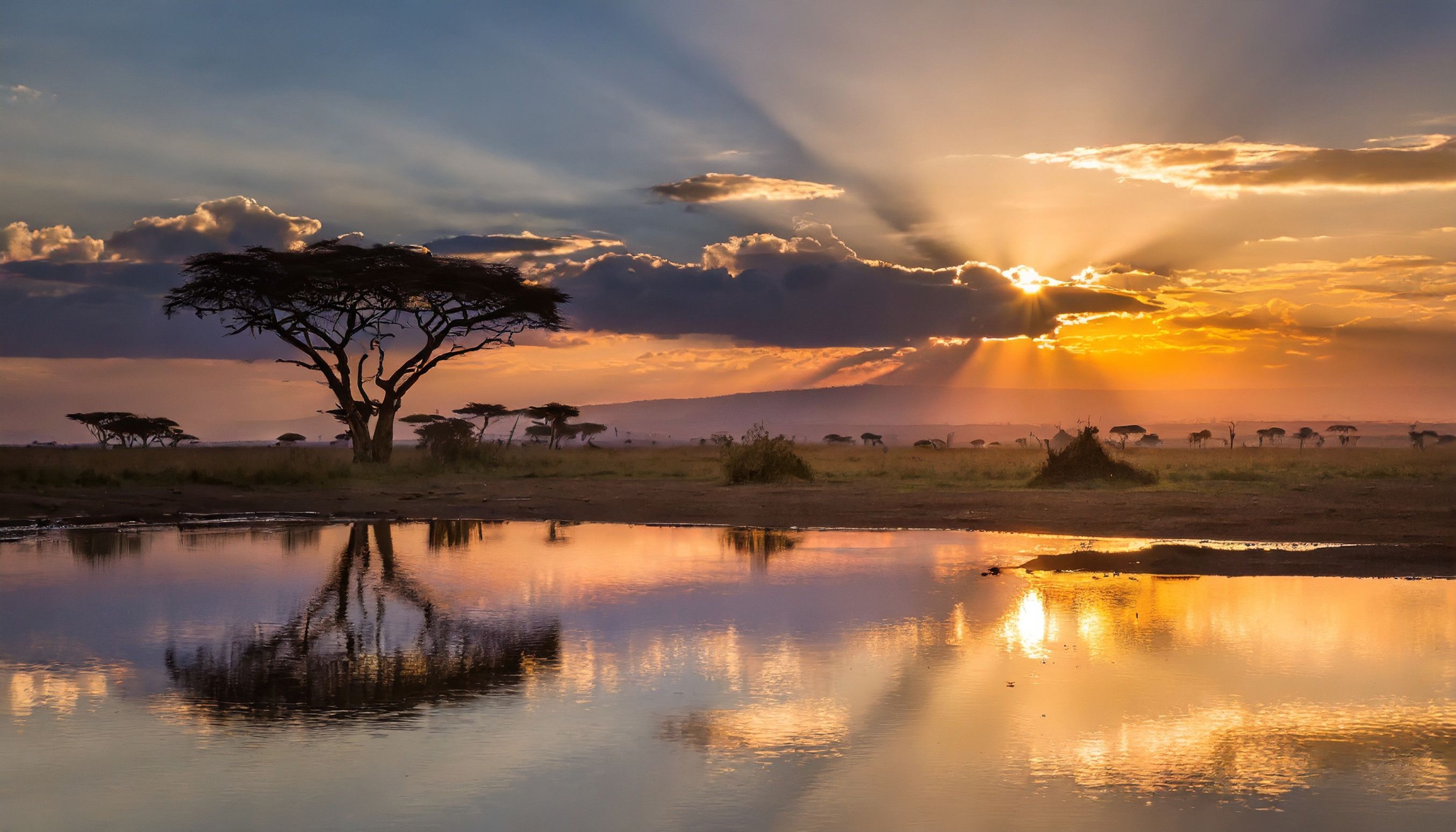 Sunset Over Serengeti National Park In Tanzania Africa