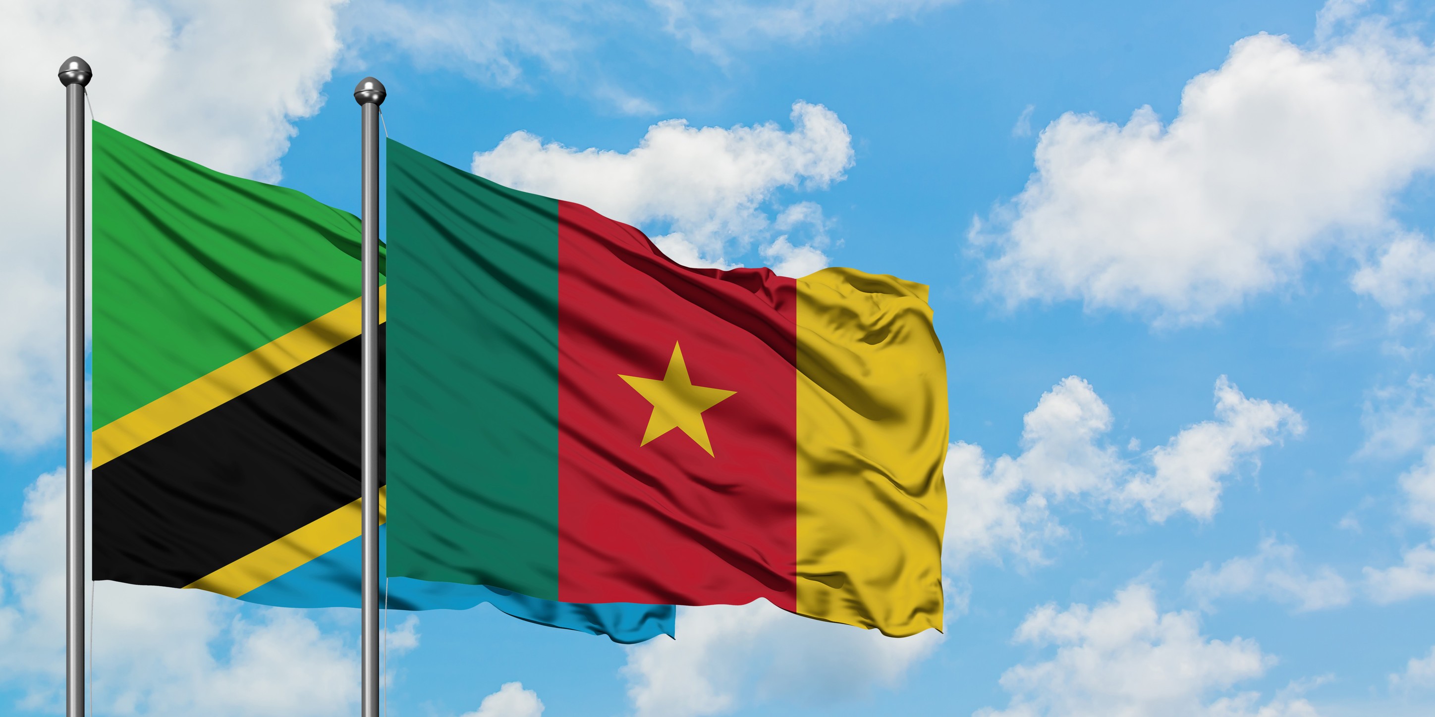 Tanzania And Cameroon Flags Flying Together