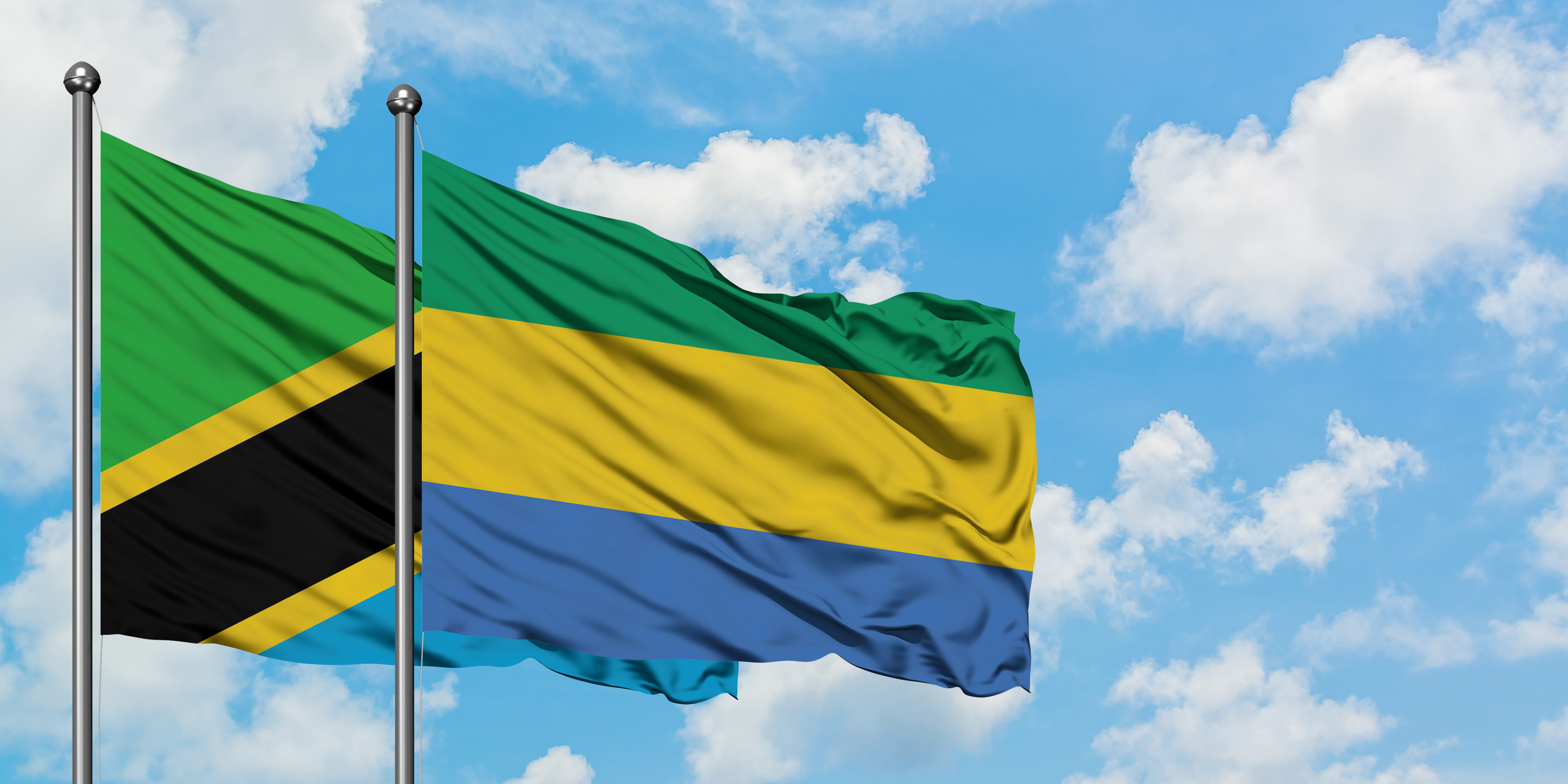 Tanzania And Gabon Flag