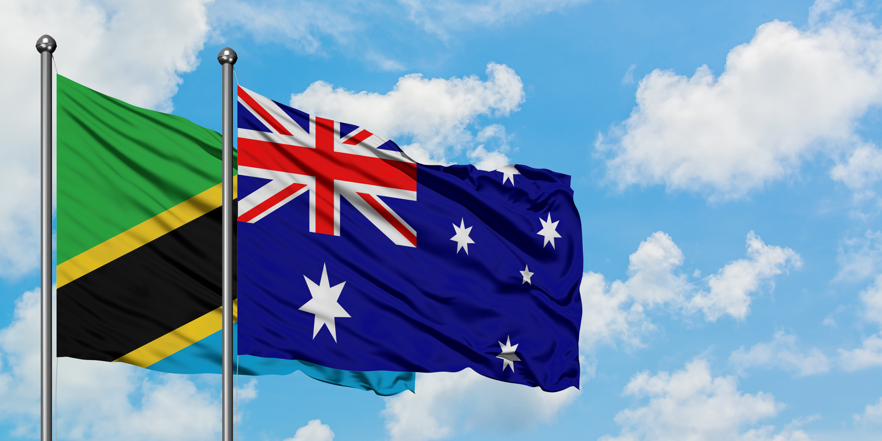 Tanzania And Mcd Flag