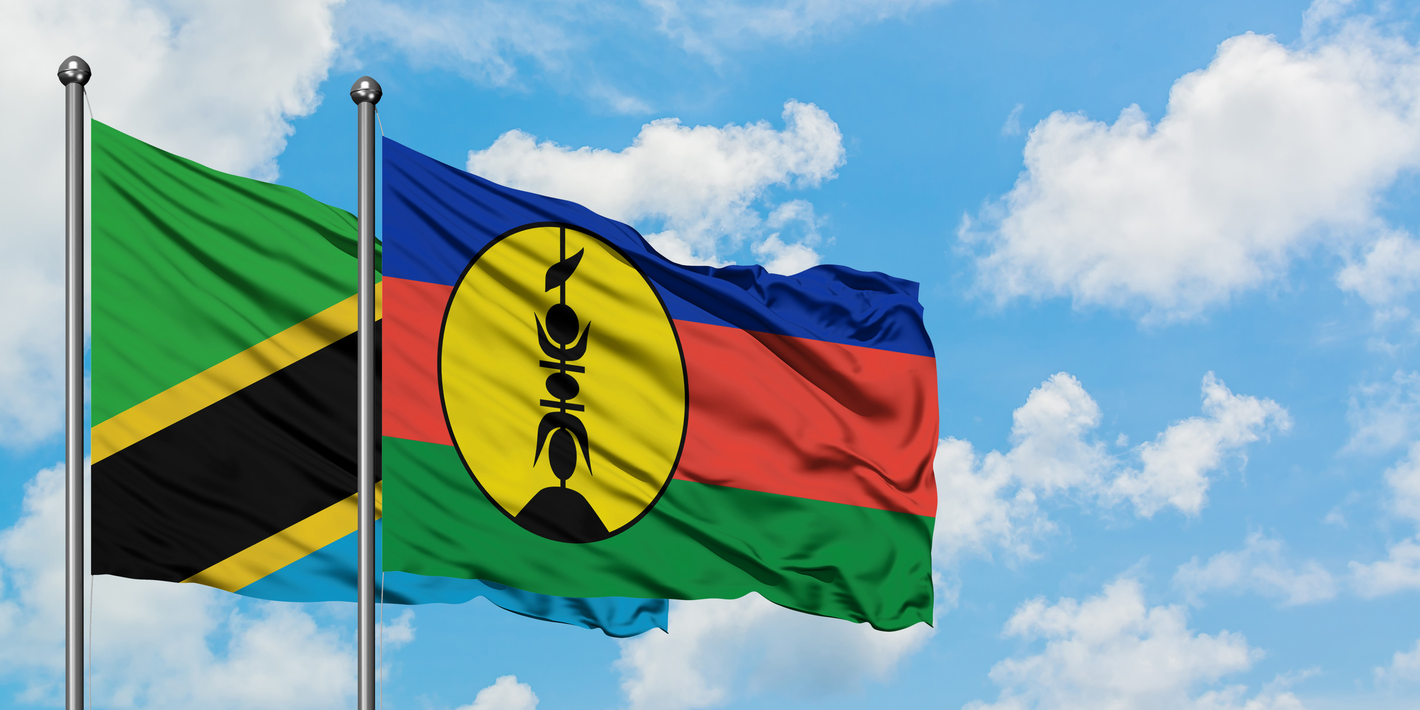 Tanzania And New Caledoni Flag