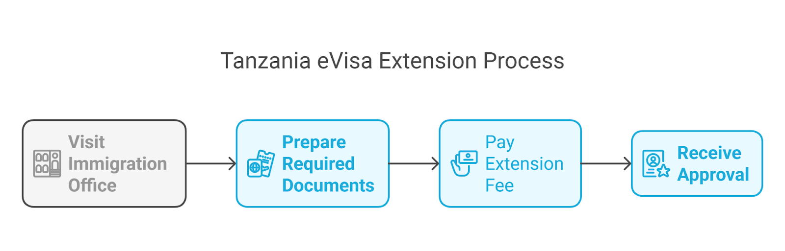 Tanzania Evisa Extension Process For Egyptian Citizens