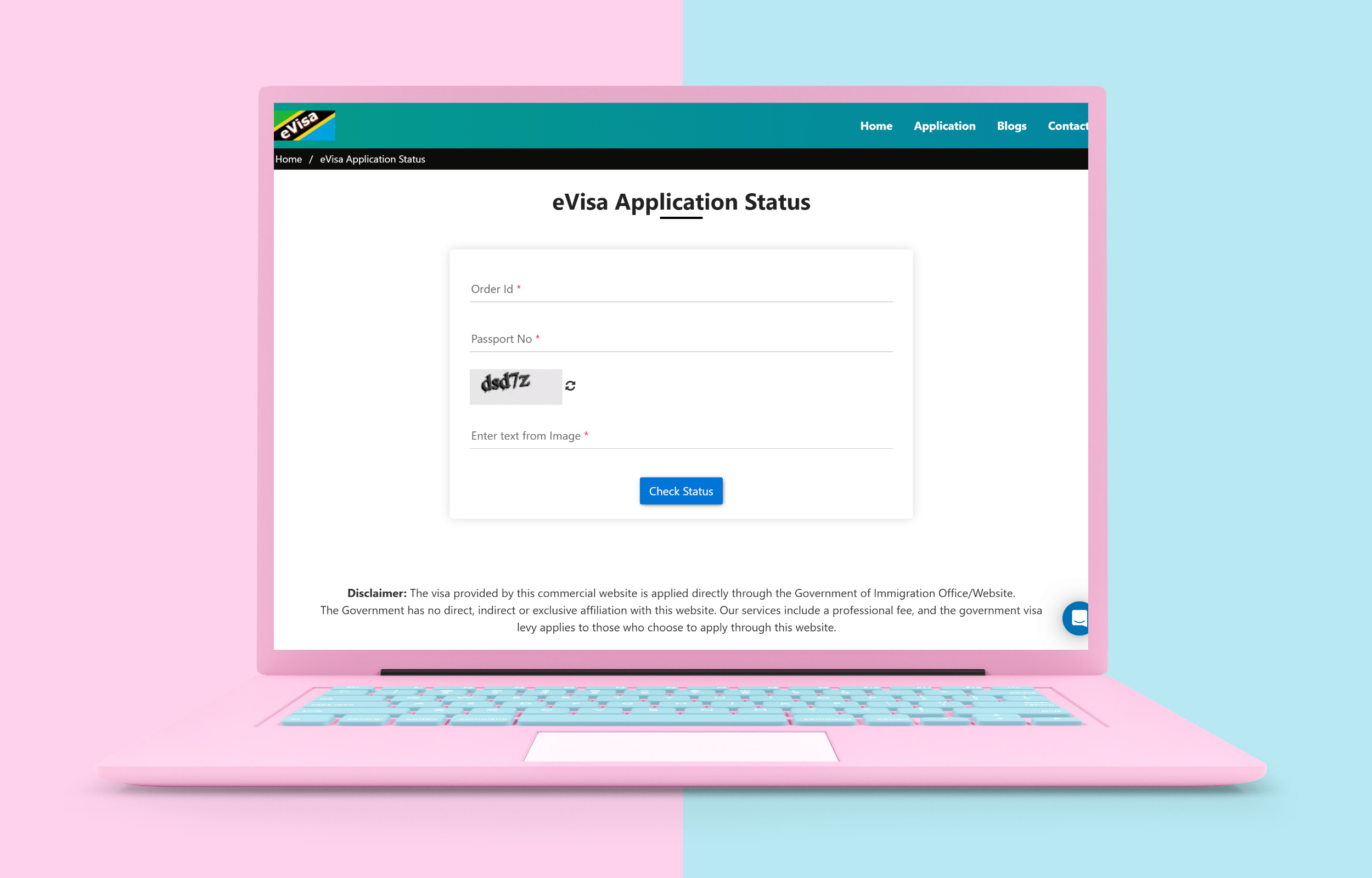 Tanzania Visa Application Status