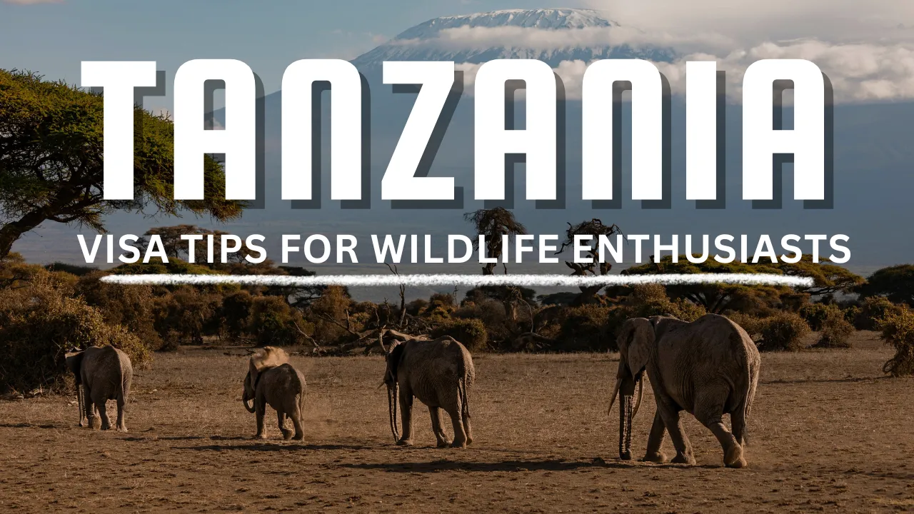 Tanzania Visa Tips for Wildlife Enthusiasts Video Thumbnail