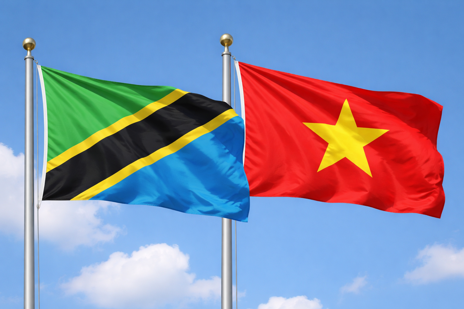 Tanzanian And Vietnamese Flags