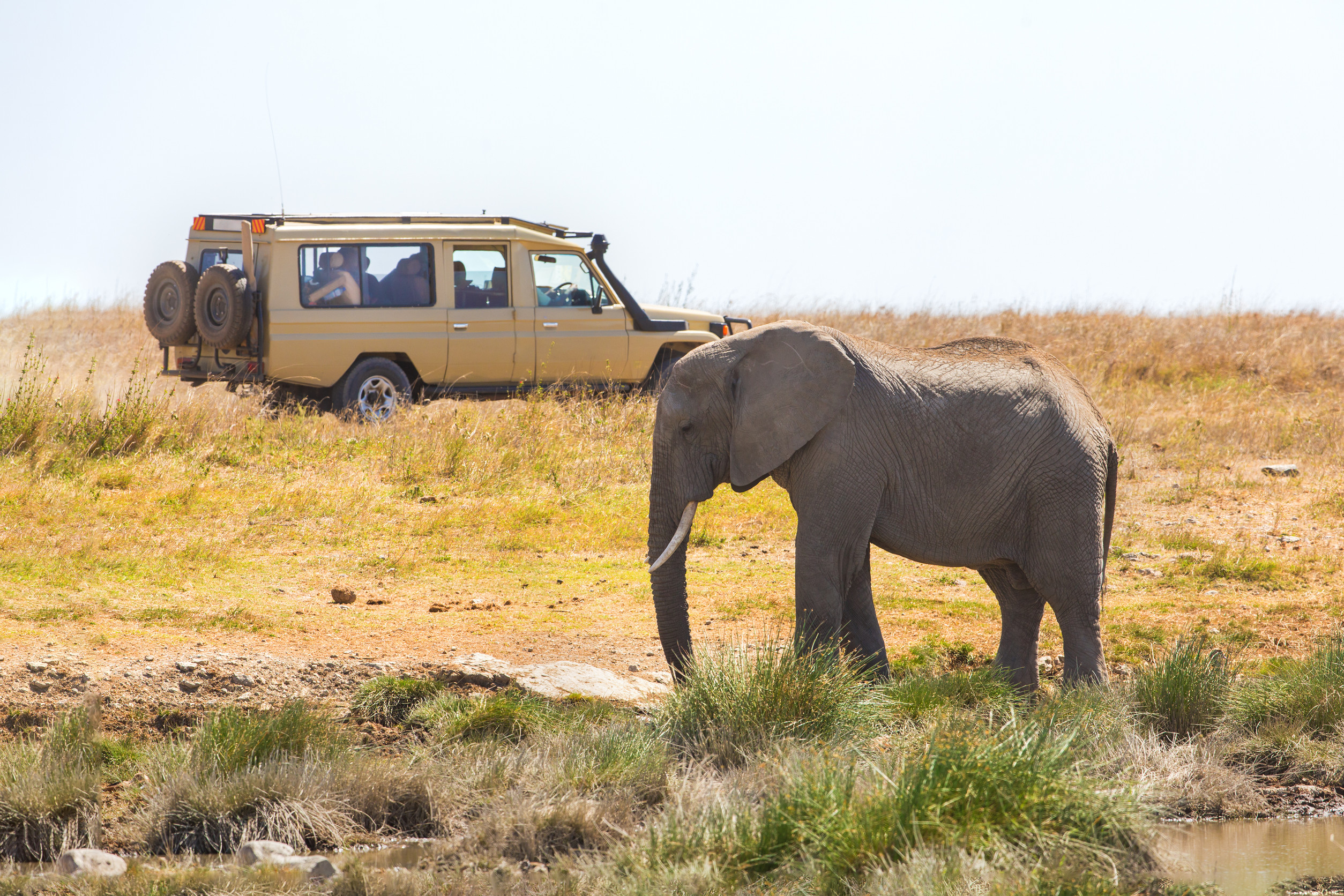 Tanzania’s Tourism: A Legacy of Growth & Leadership