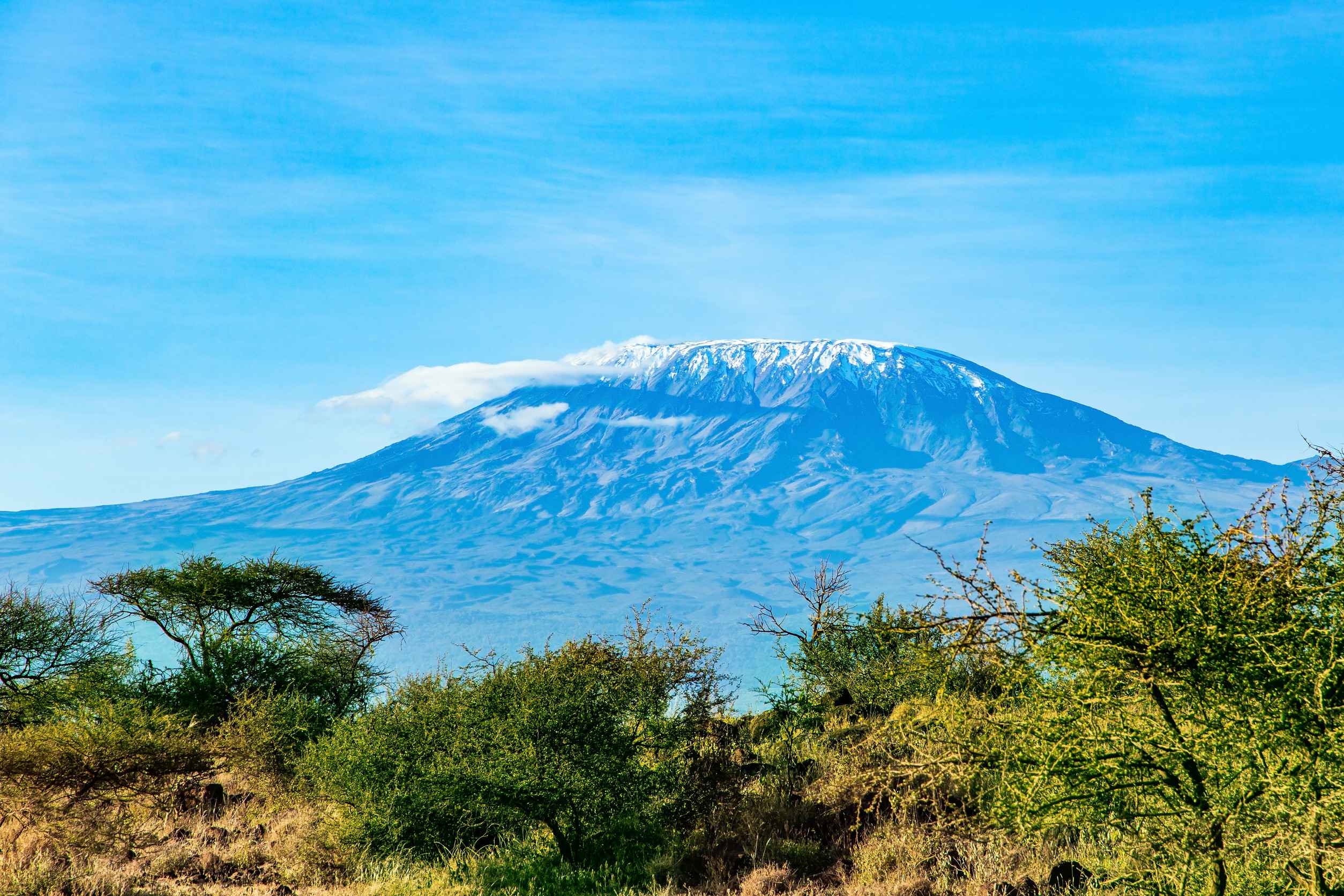 The Famous Snow Capped Mount Kilimanjaro In The Flat Savannah Plain Acacias Of The Horn Of Africa