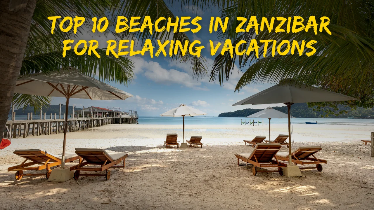 Top 10 Beaches in Zanzibar for Relaxing Vacations Video Thumbnail