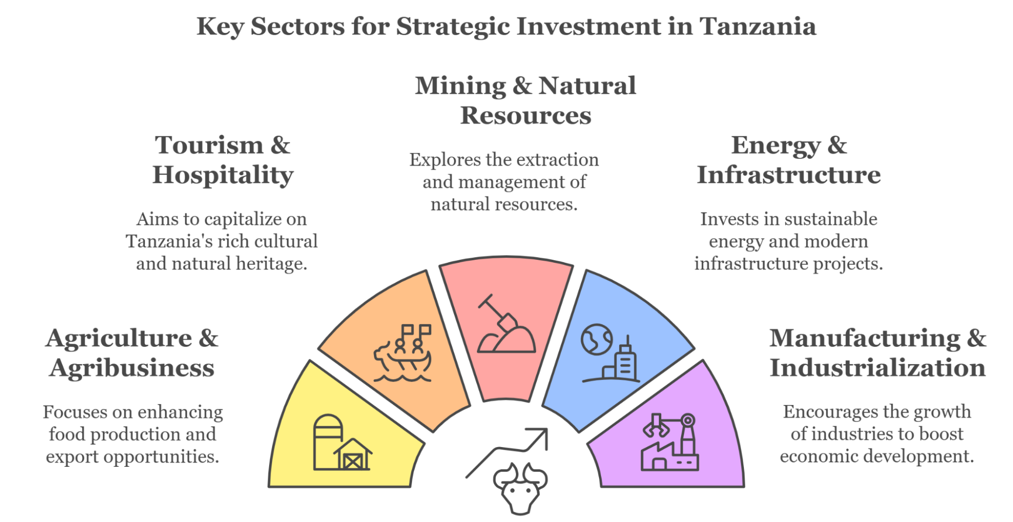 Top Sectors For Investment In Tanzania