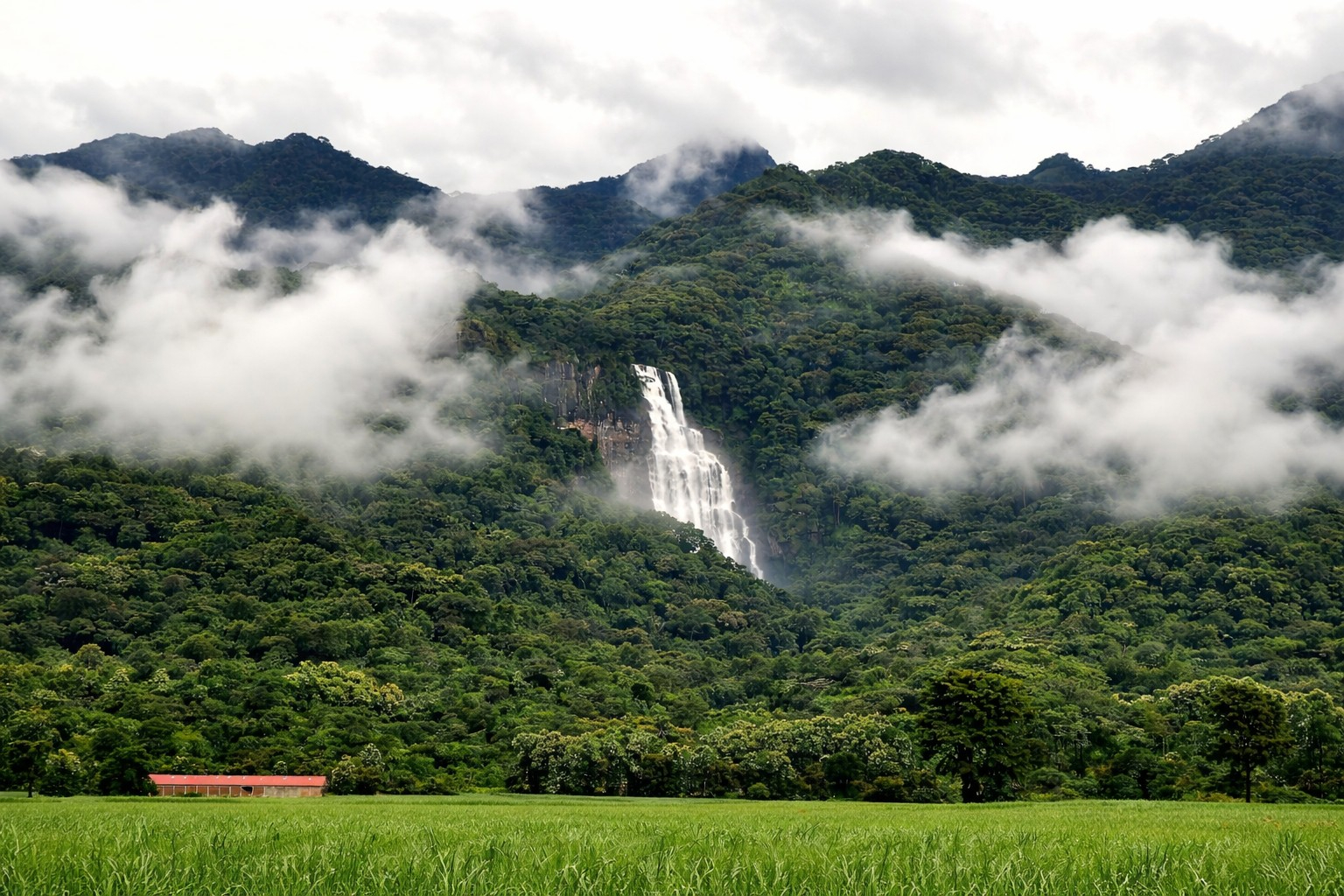 Udzungwa Mountain Park In Tanzania