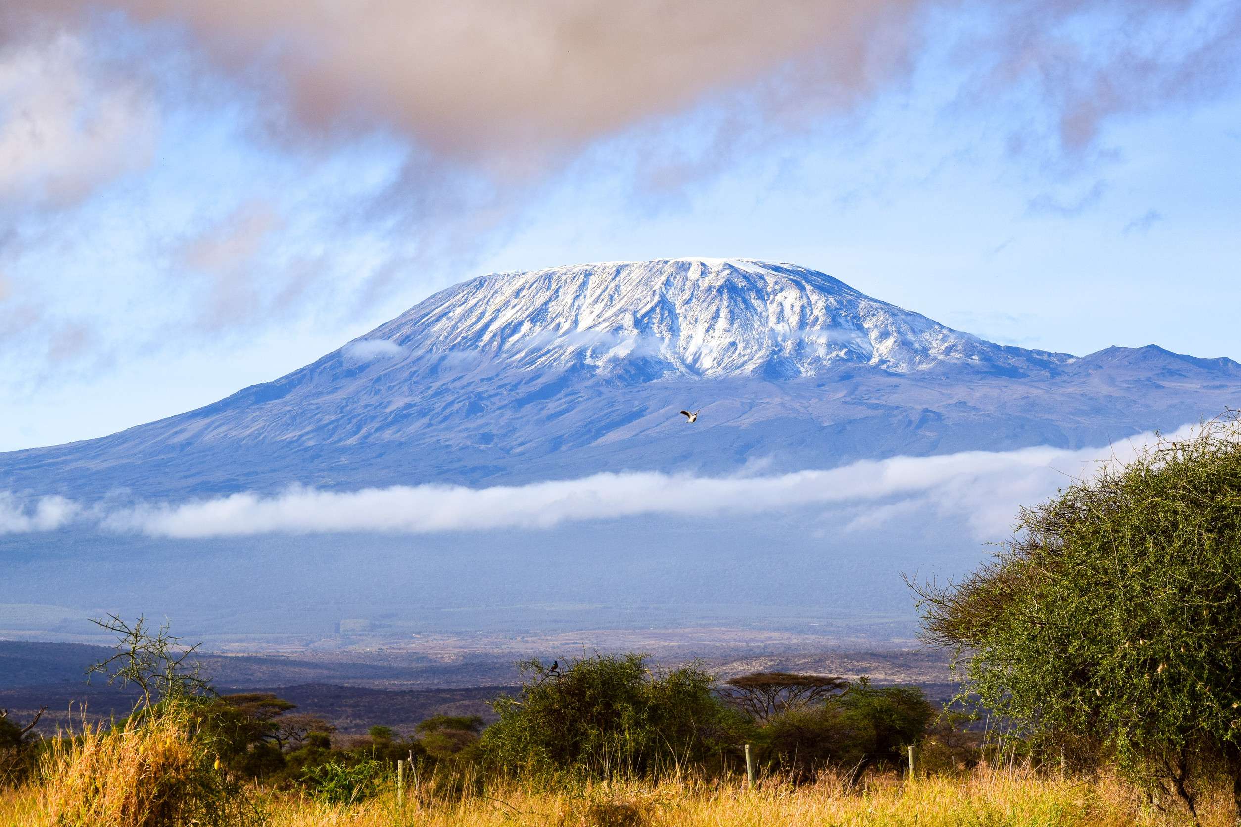 View Of Mount Kilimanjaro