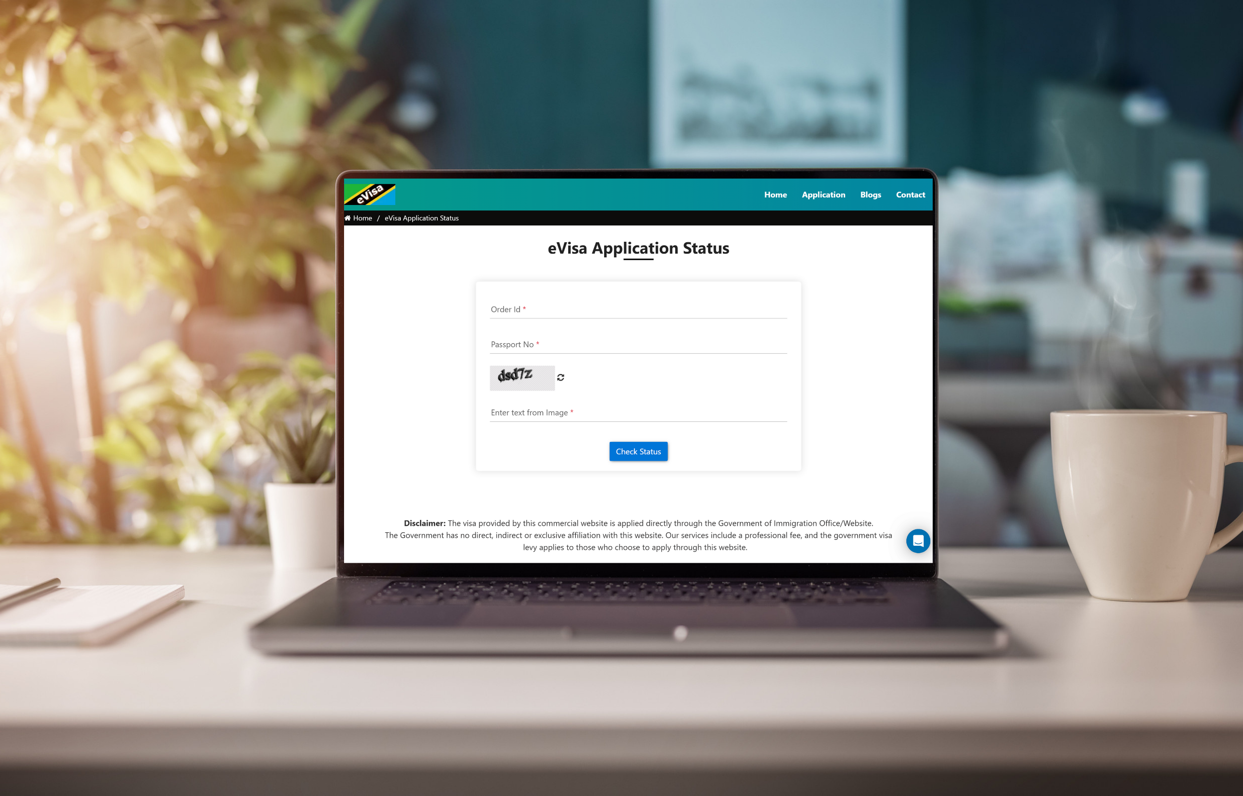 Visa Application Status