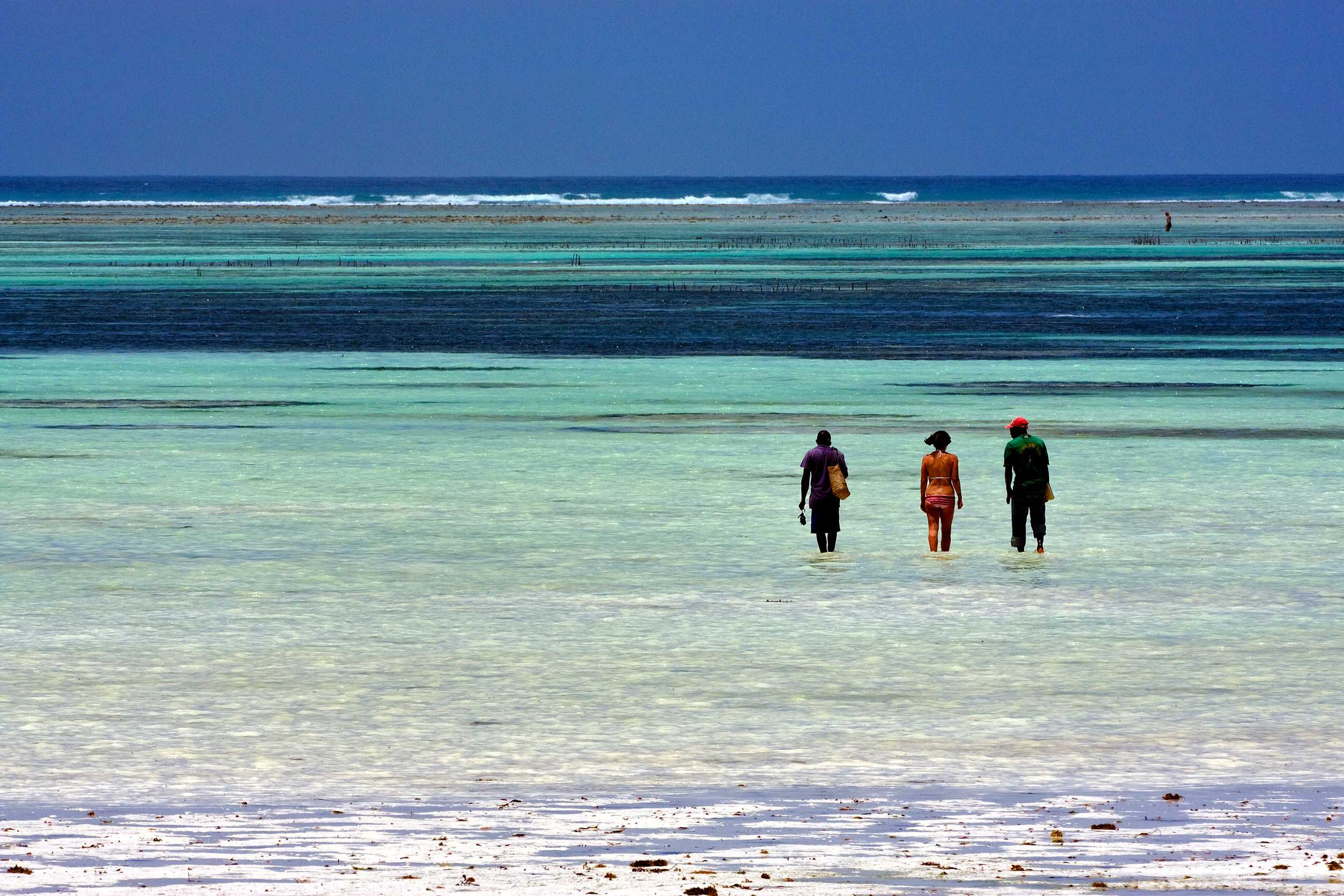 beach seaweed and people in tanzania zanzibar